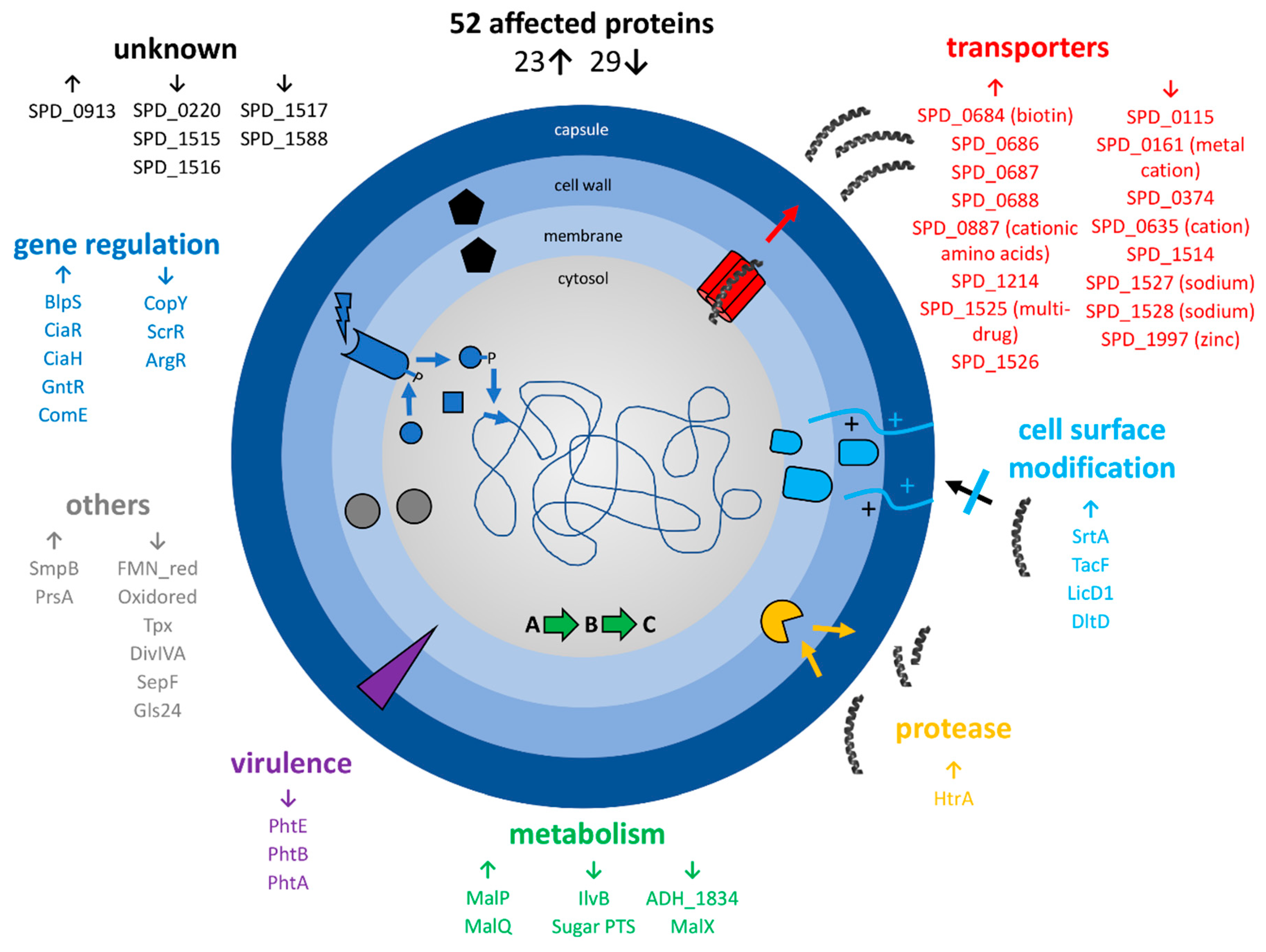Microorganisms 08 00413 g006 Microorganisms 08 00413 g006