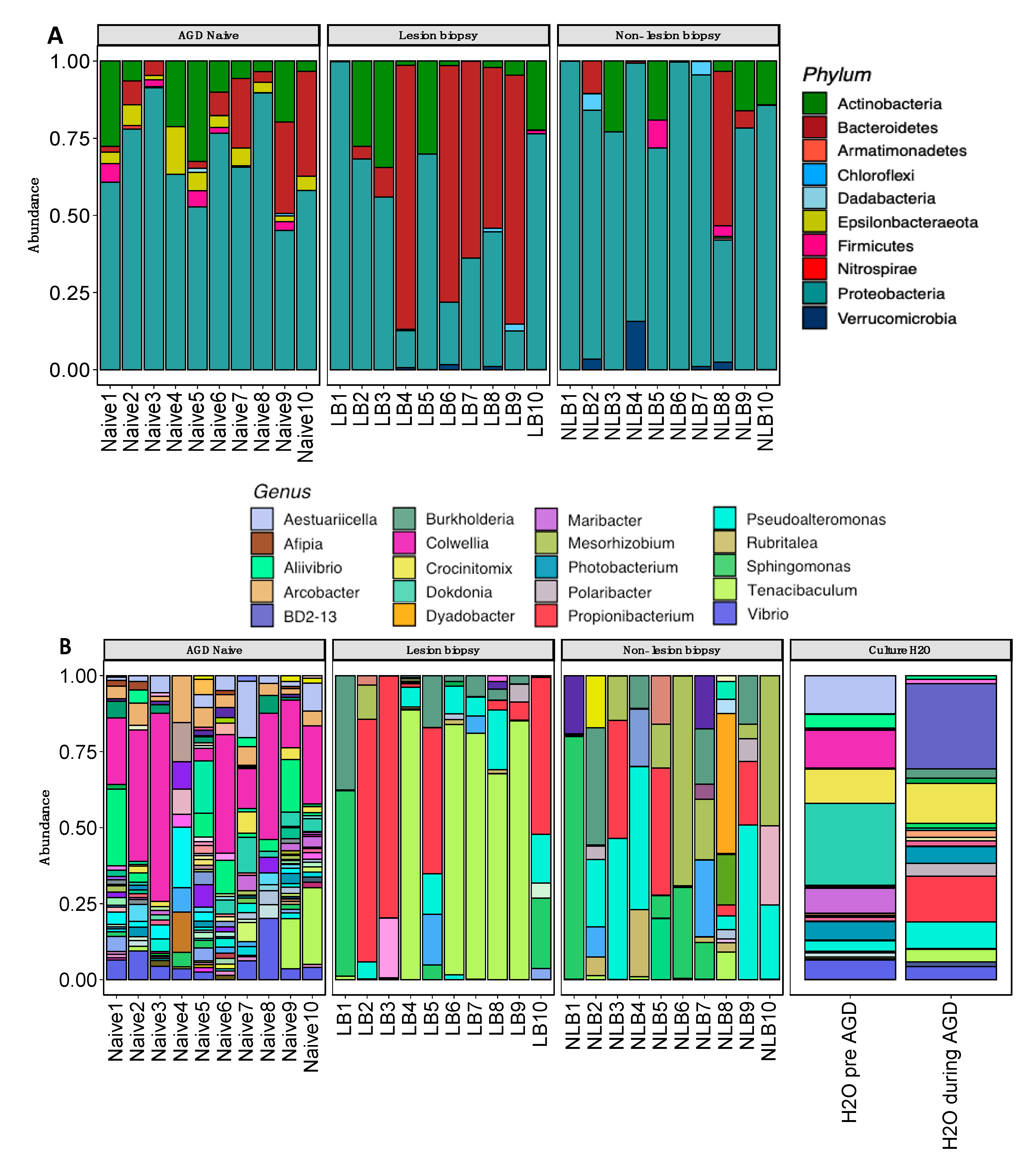 Microorganisms 08 01189 g005