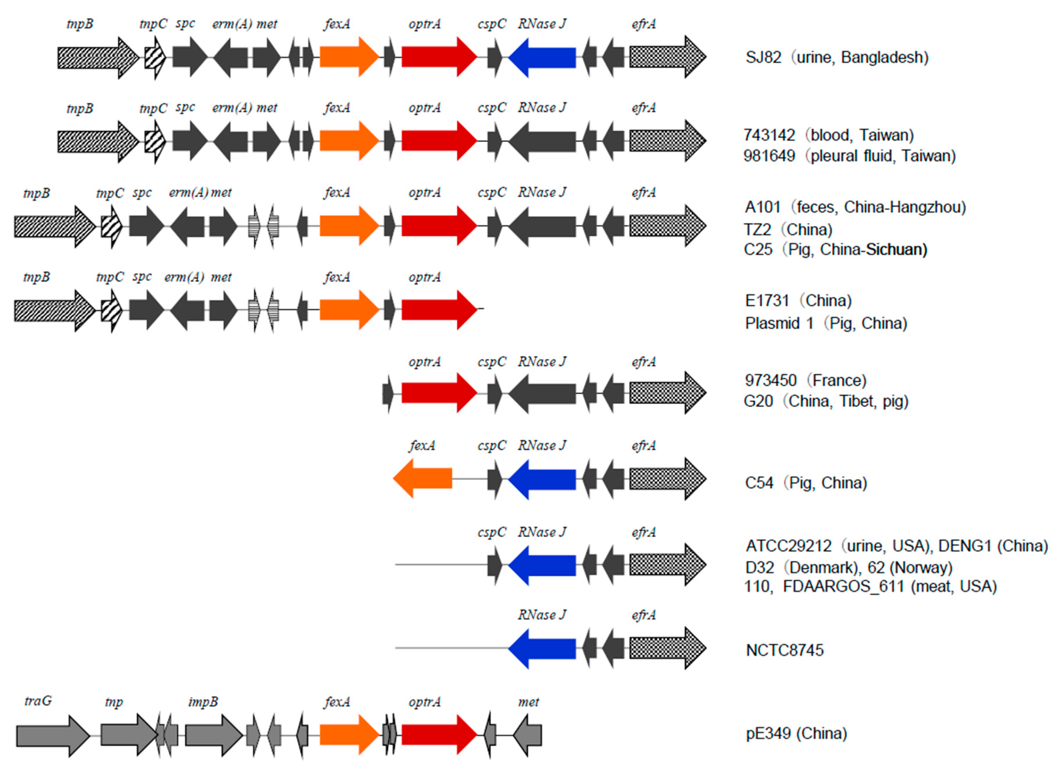 Microorganisms 08 01240 g002
