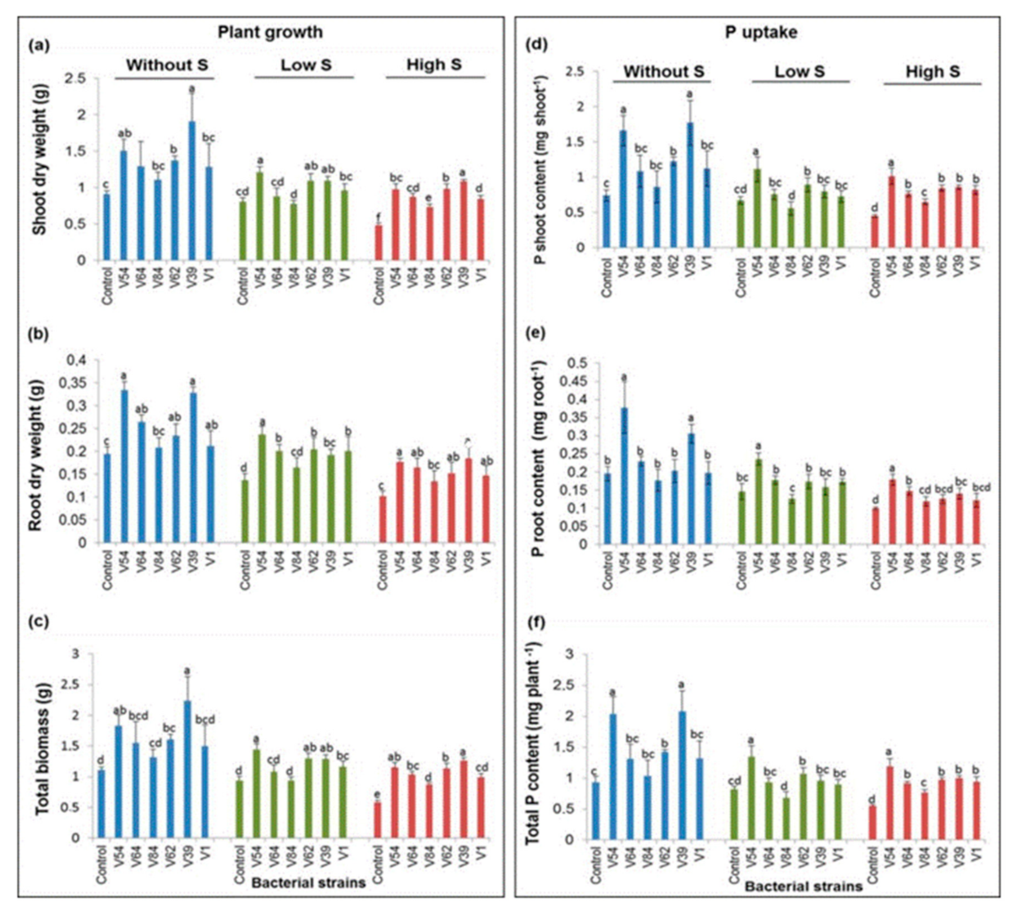 Microorganisms 08 01844 g005