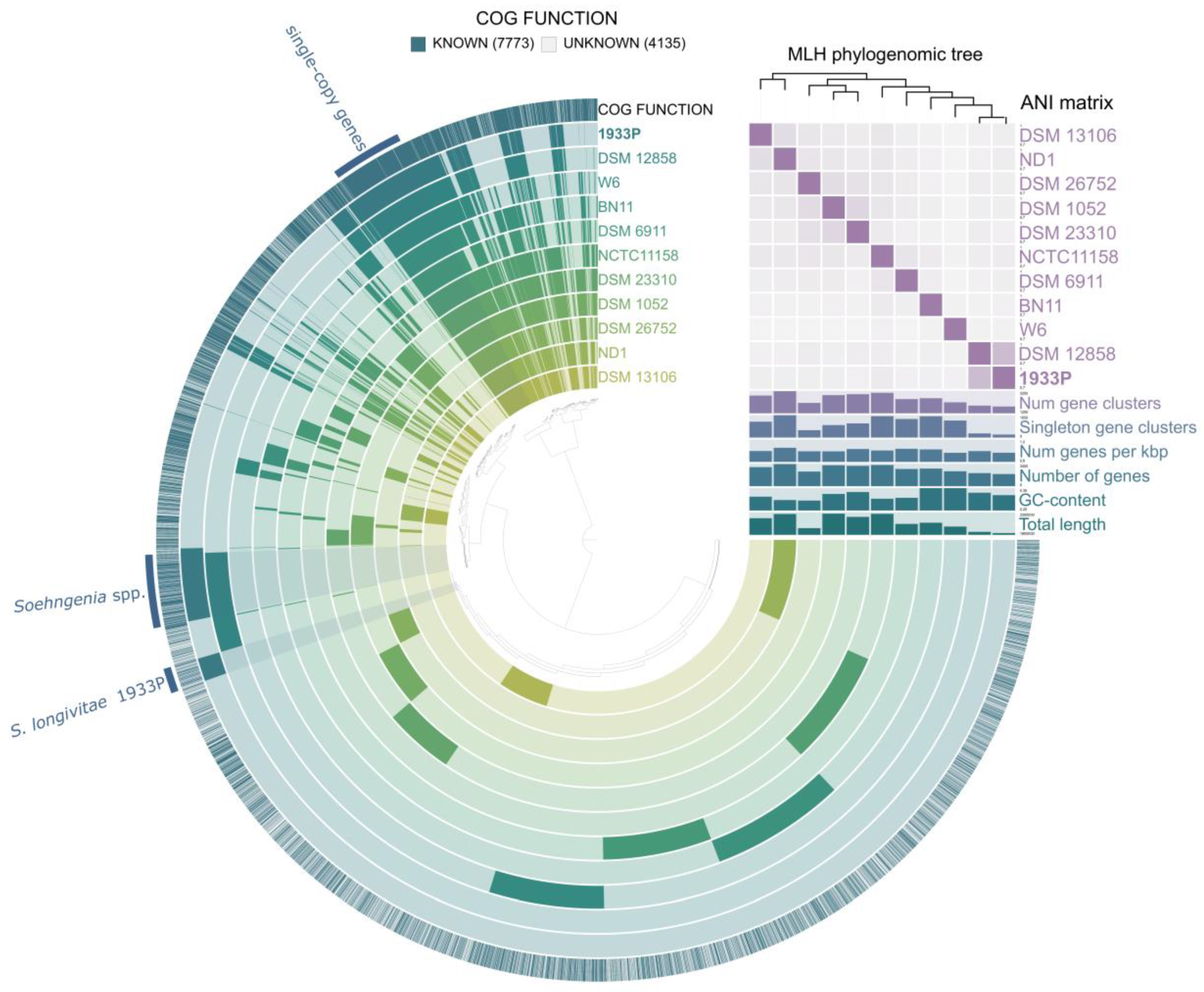 Microorganisms 08 01967 g004