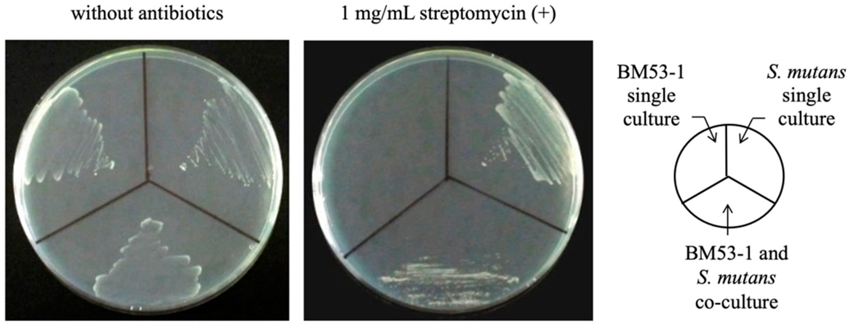 Microorganisms 09 01390 g002