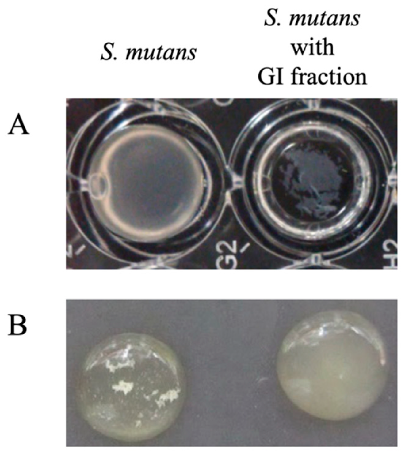Microorganisms 09 01390 g006