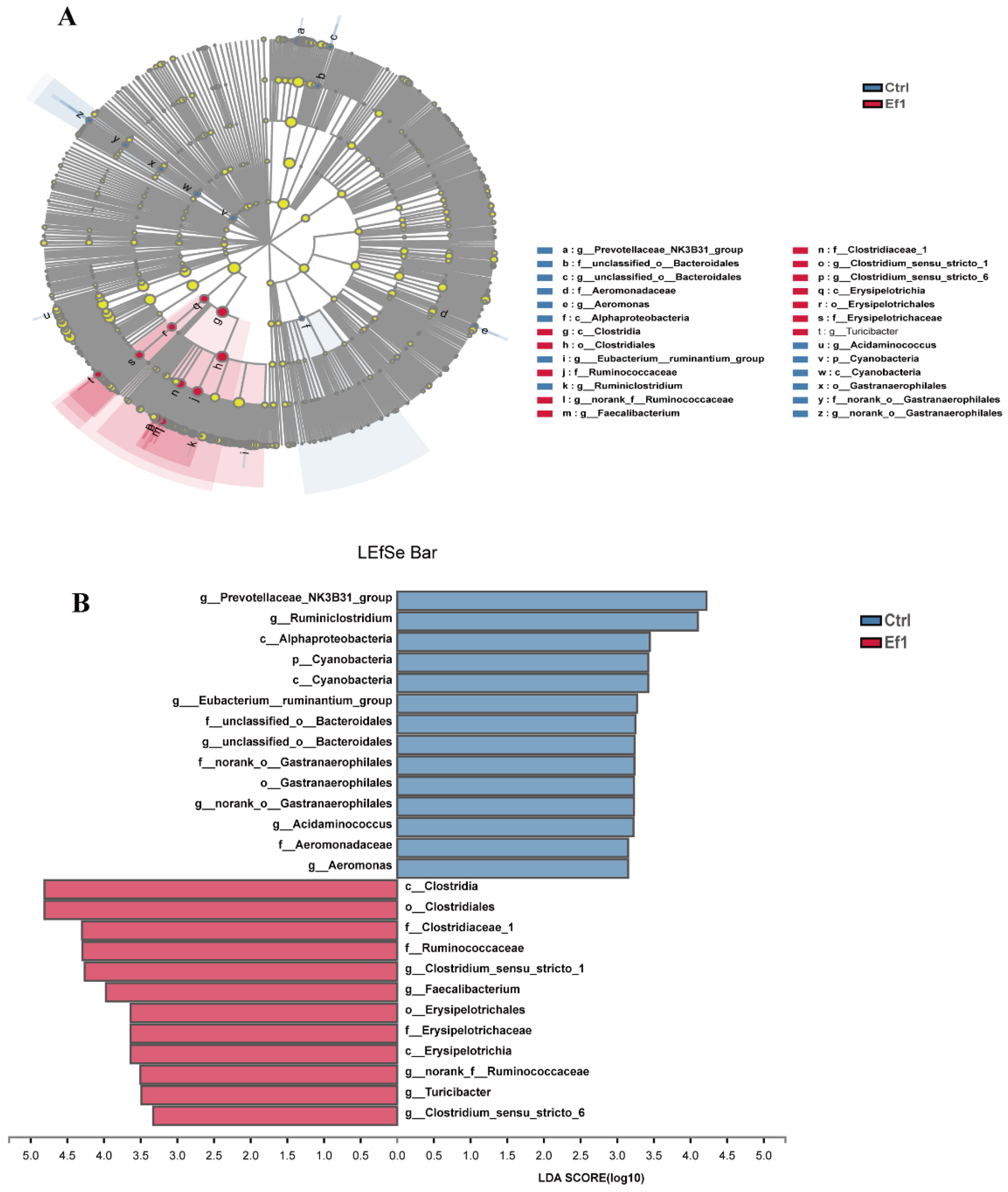 Microorganisms 09 01767 g006