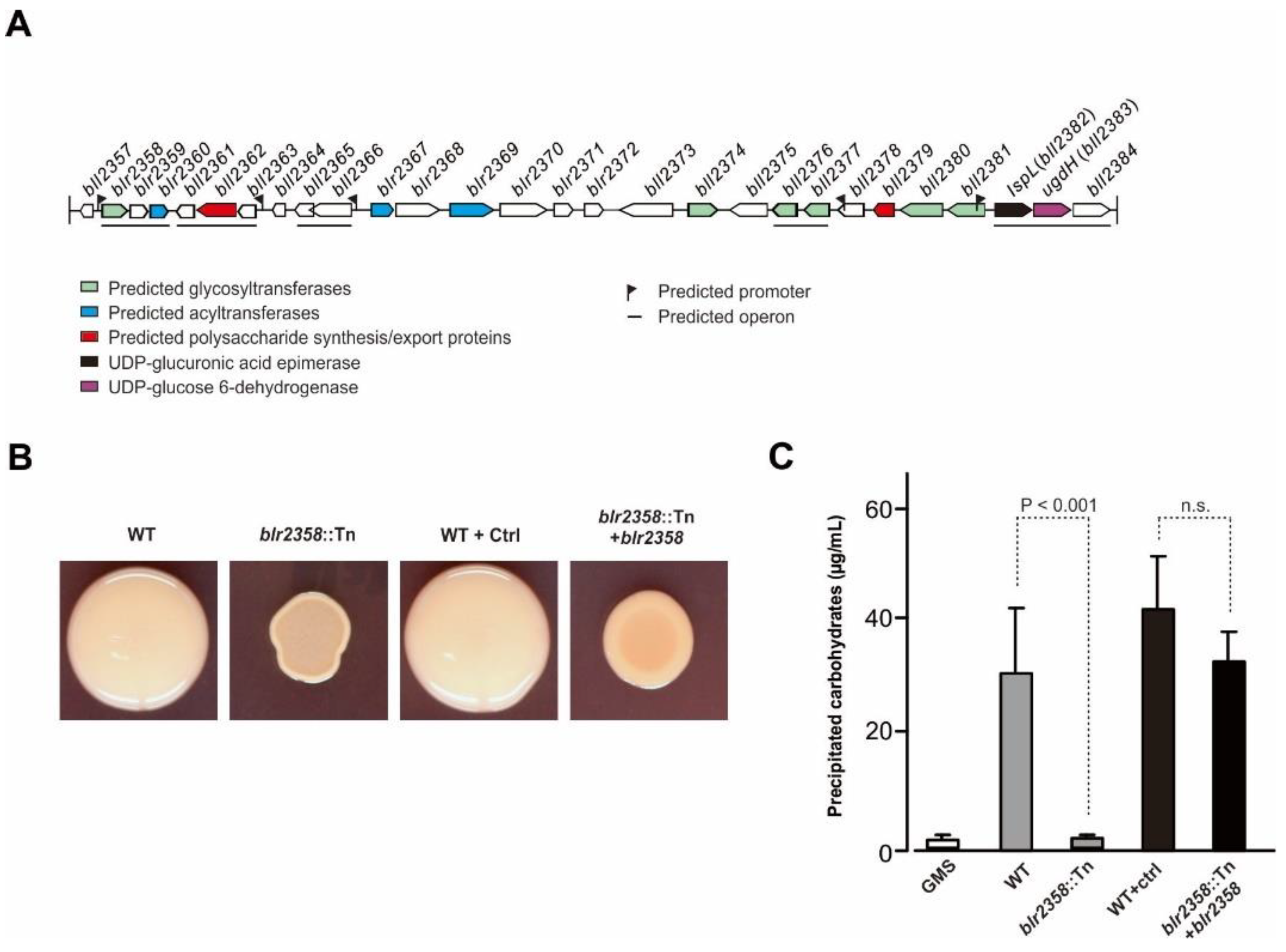 Microorganisms 09 02490 g001