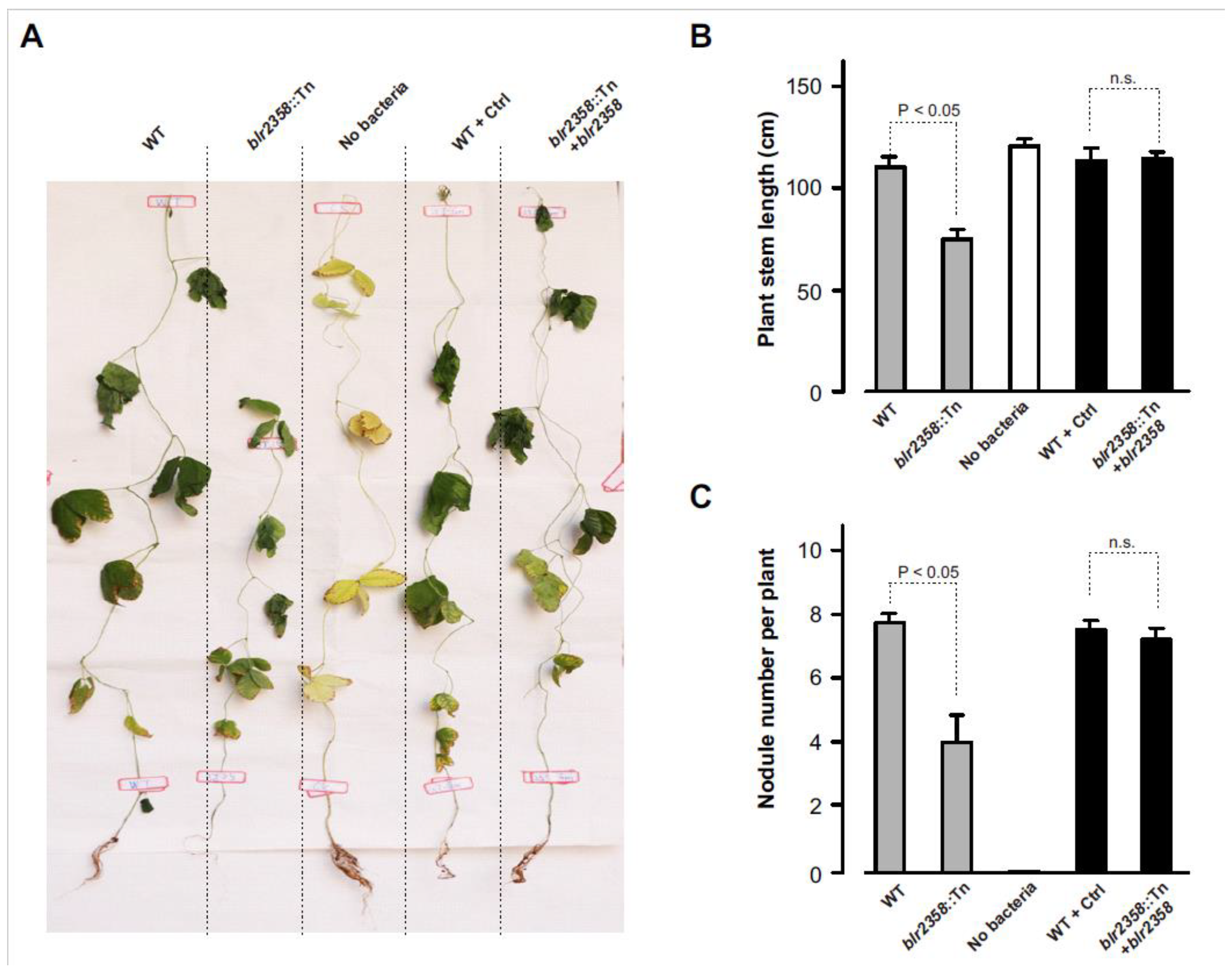 Microorganisms 09 02490 g002