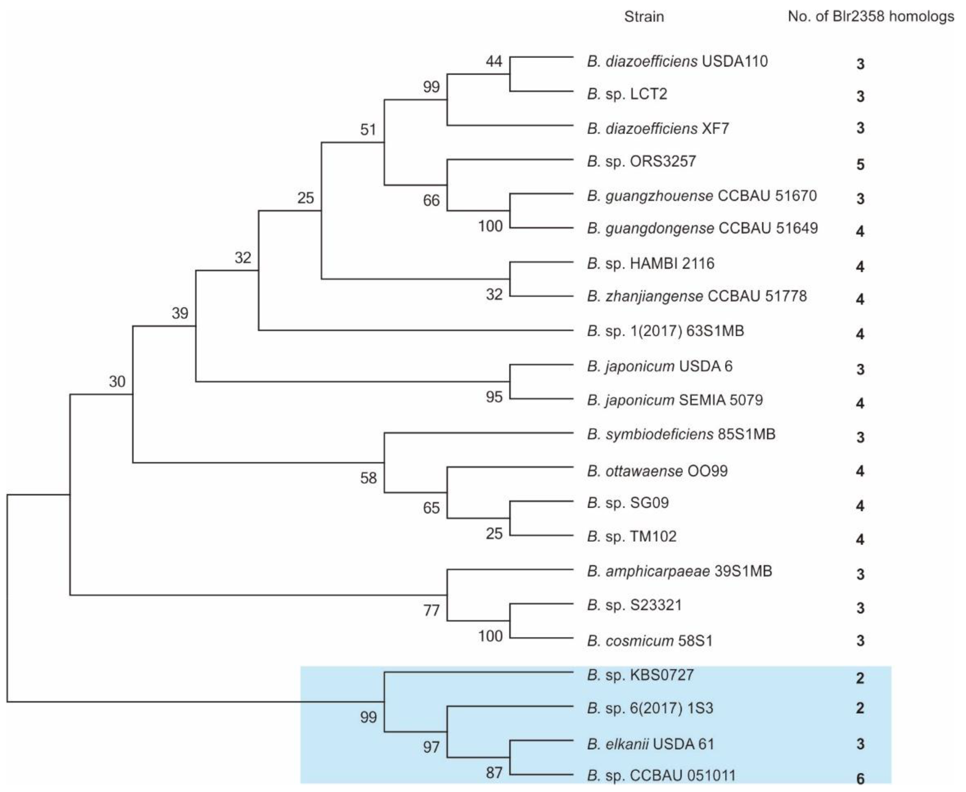 Microorganisms 09 02490 g003
