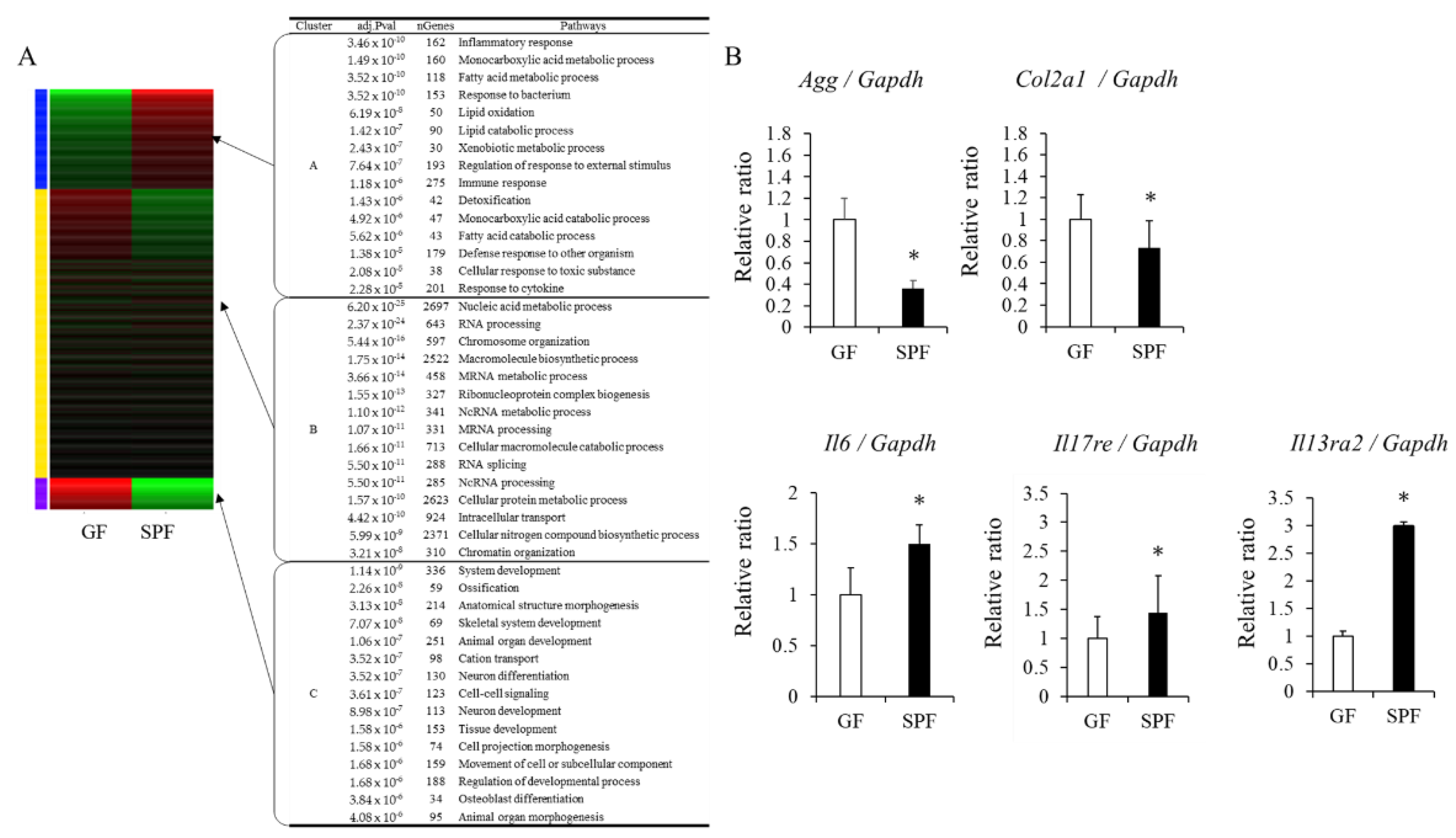 Microorganisms 10 01000 g004