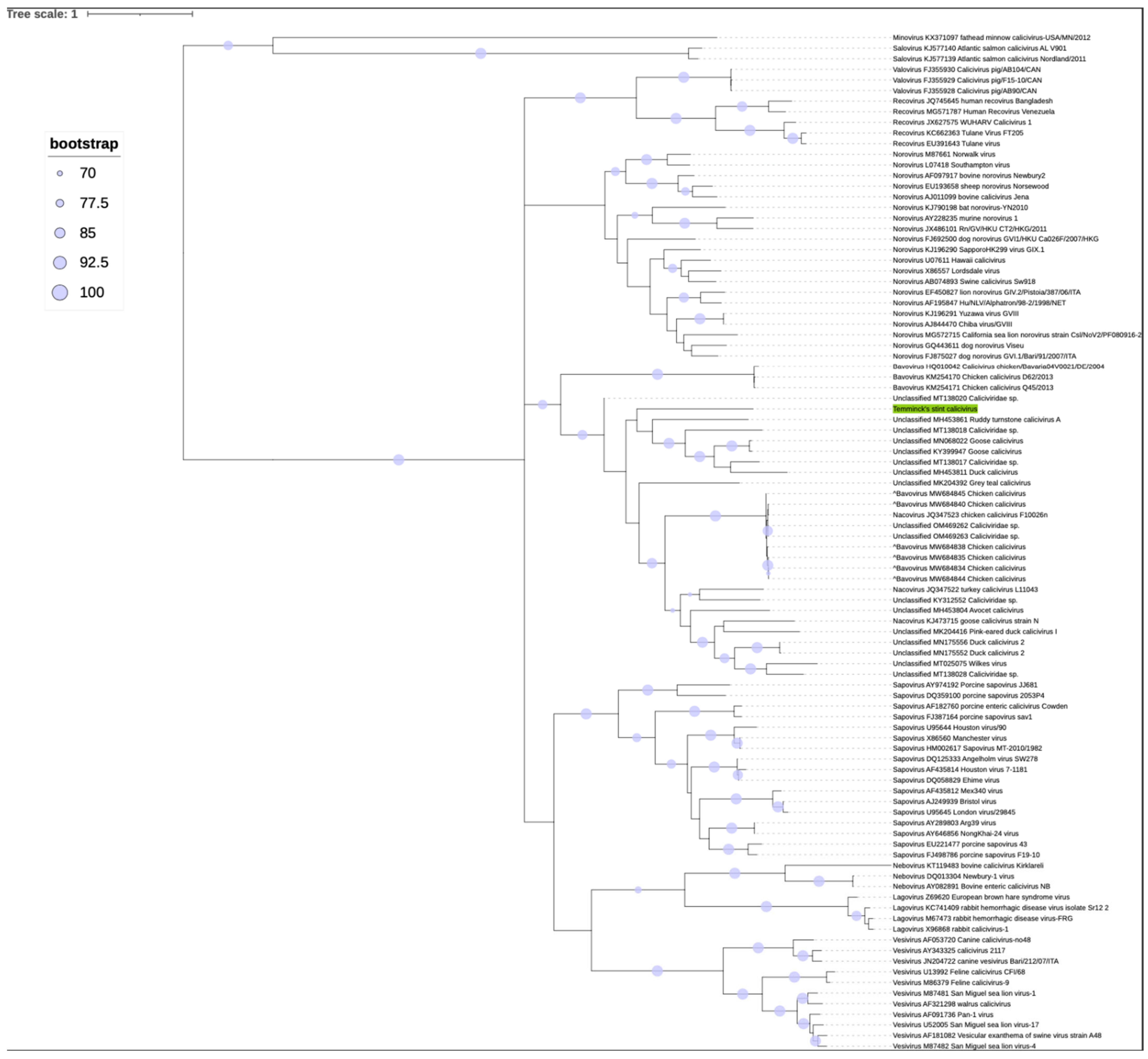 Microorganisms 10 01540 g004