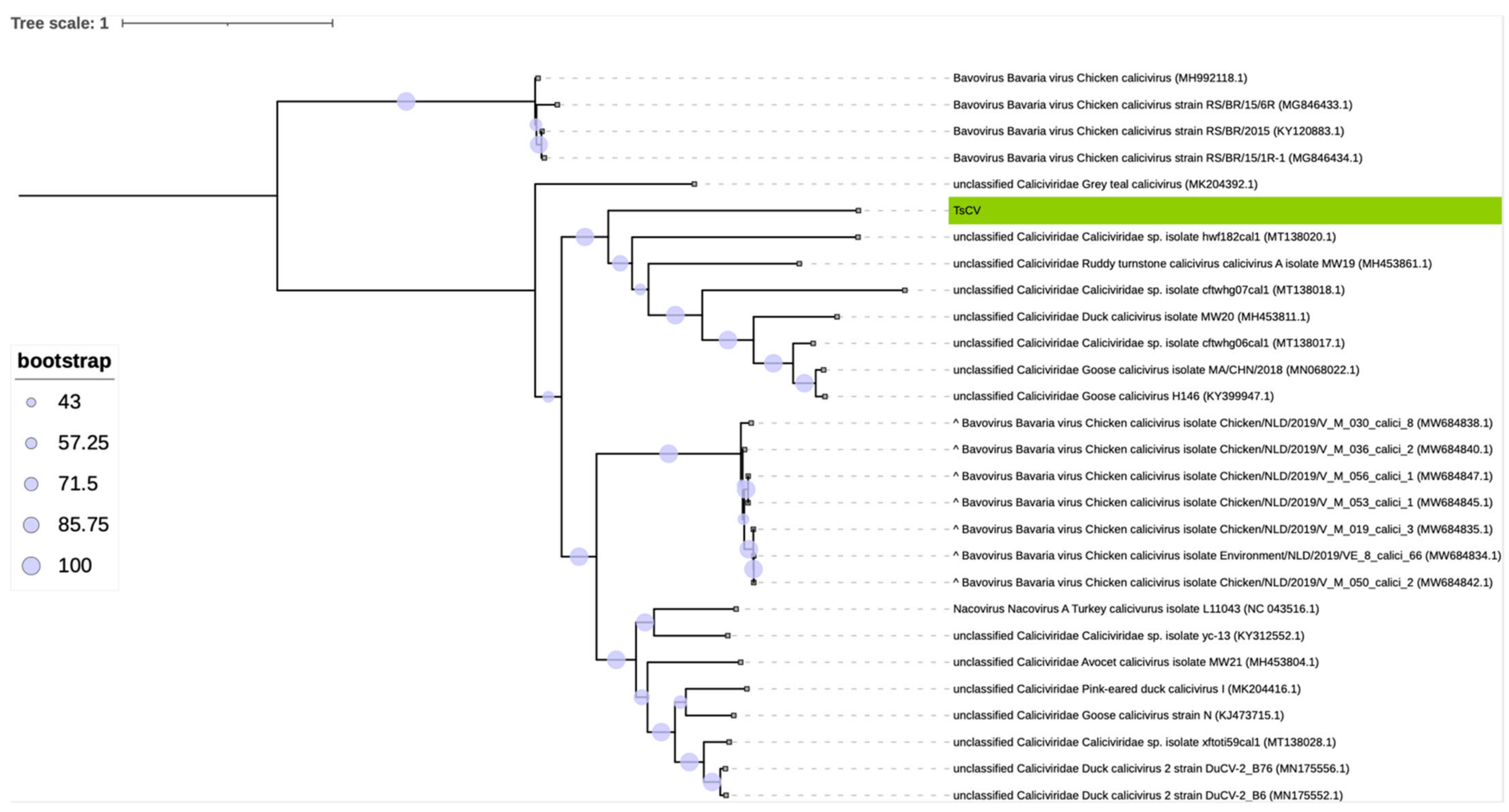 Microorganisms 10 01540 g005