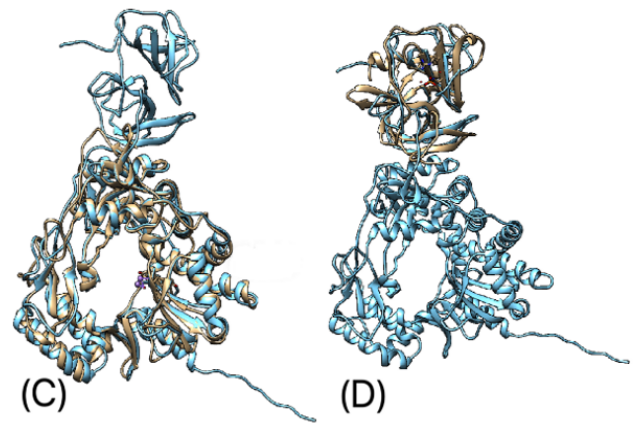 Microorganisms 10 01540 g007b