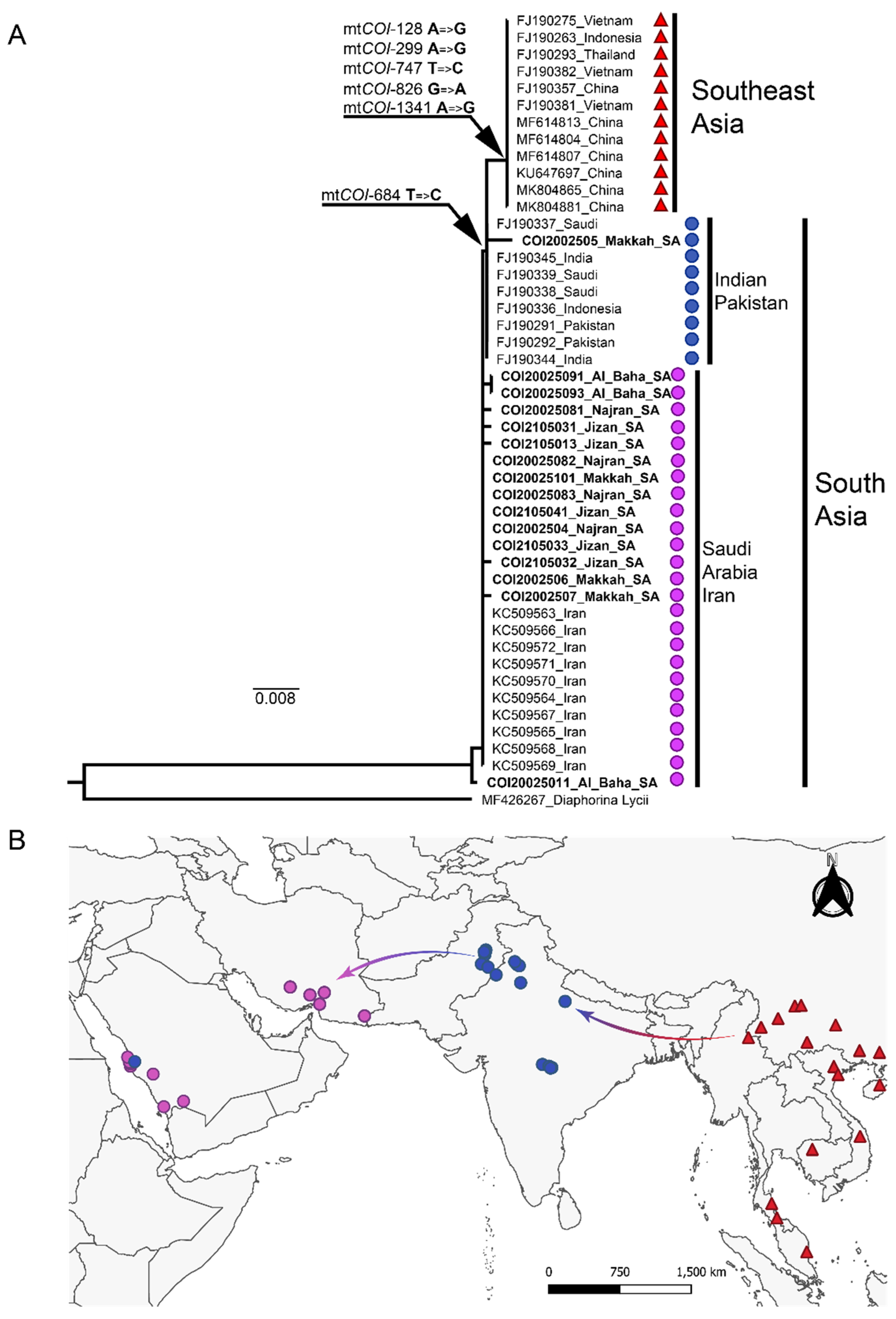 Microorganisms 10 01991 g001