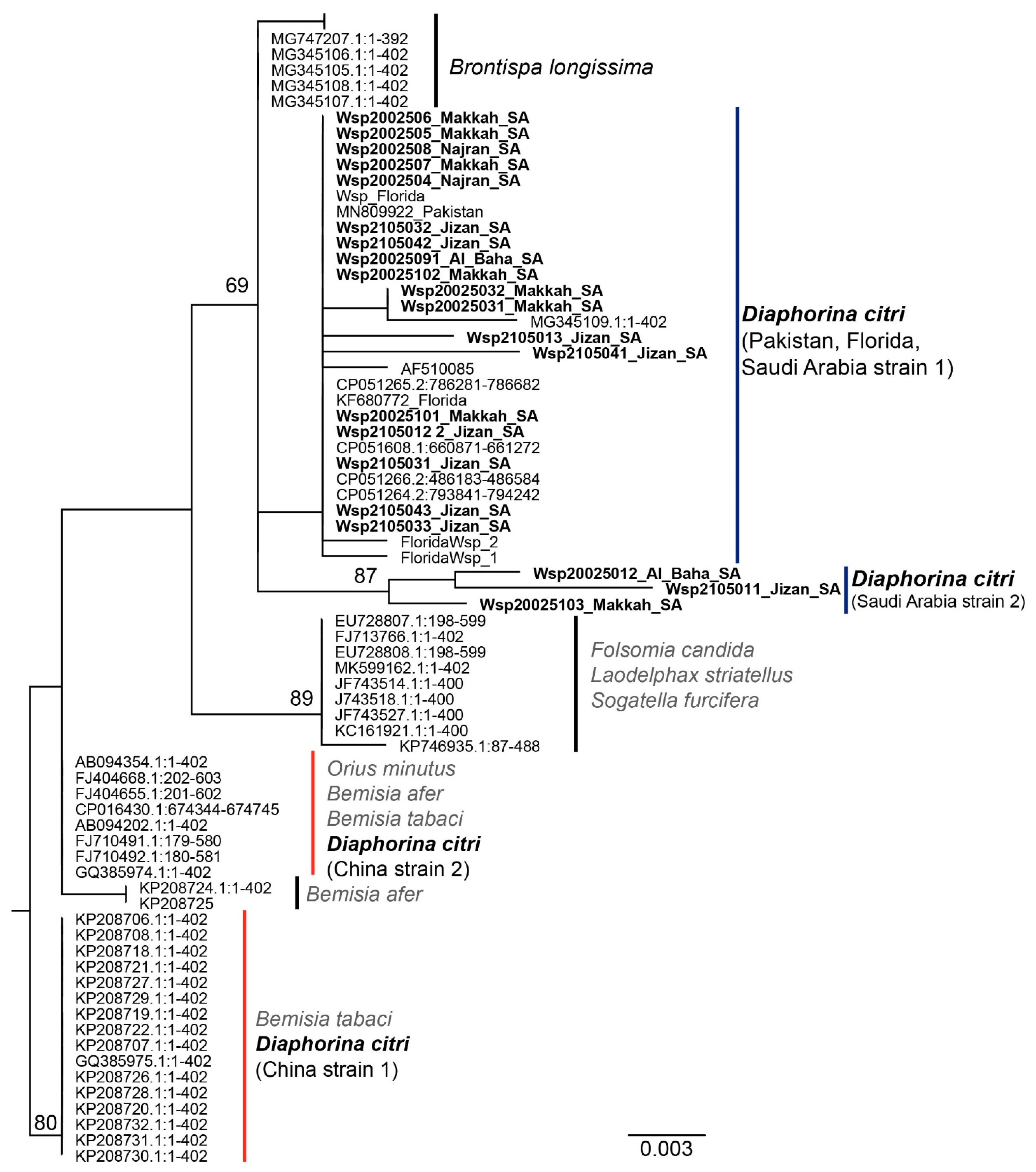 Microorganisms 10 01991 g003