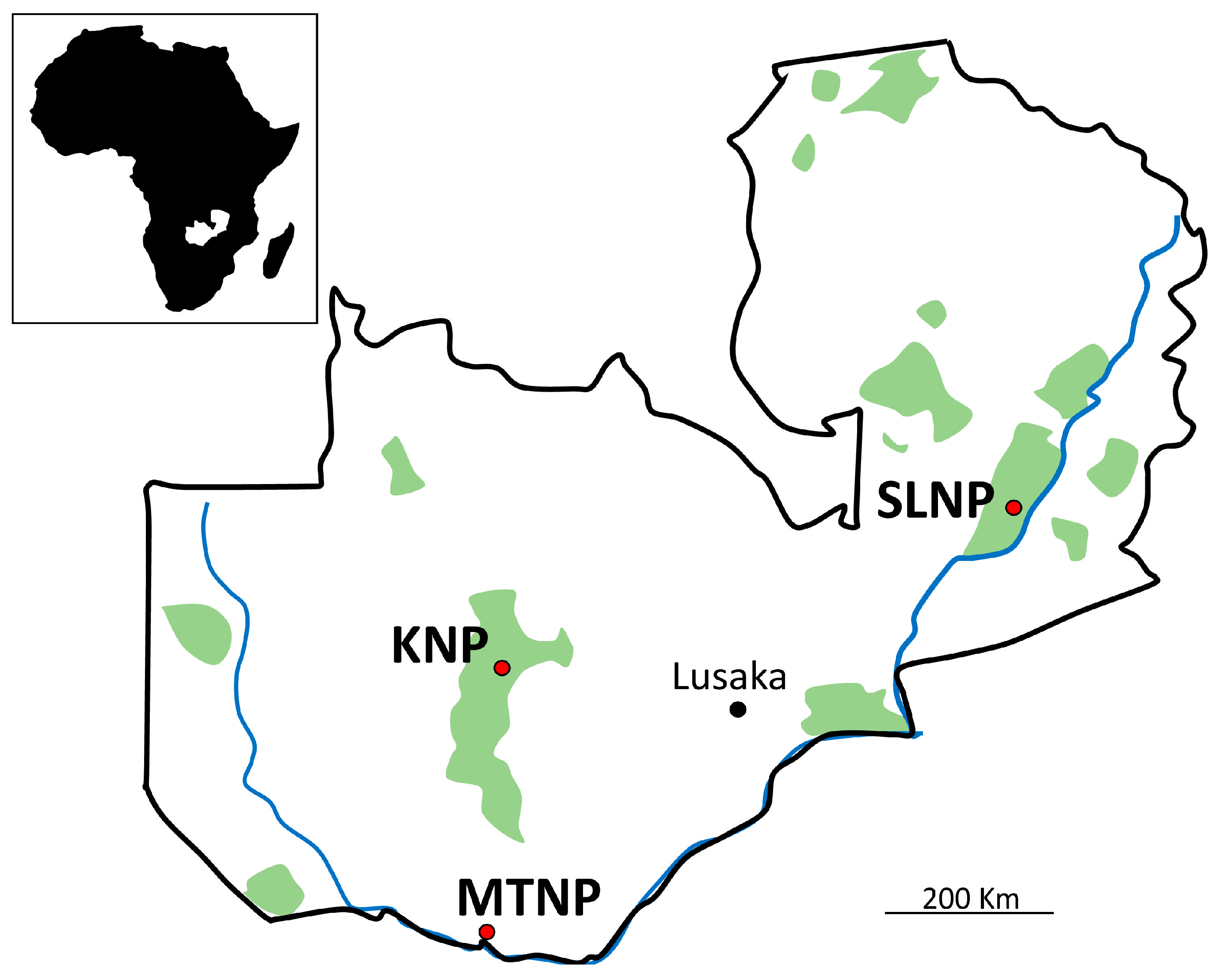 Microorganisms 11 00200 g001