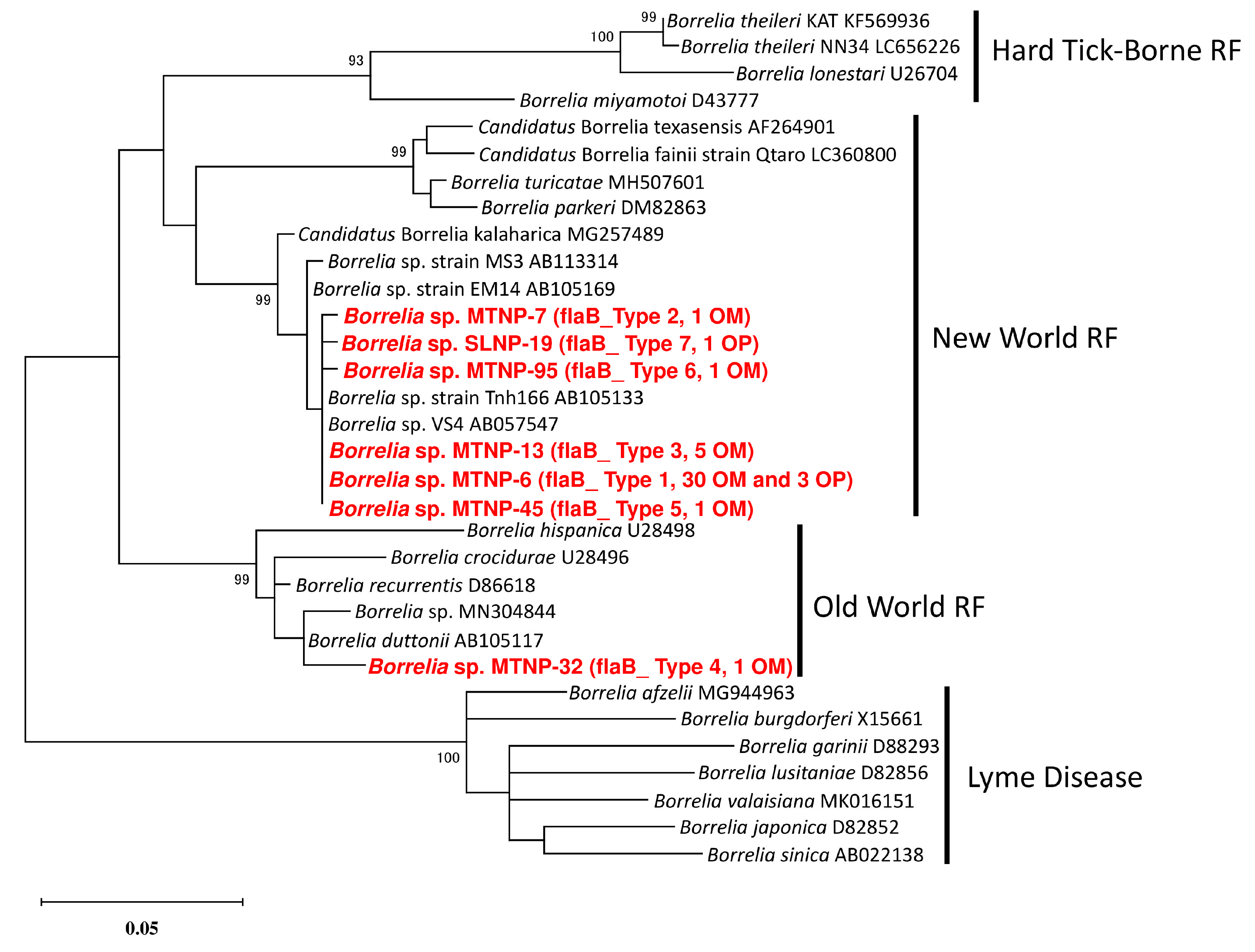 Microorganisms 11 00200 g002