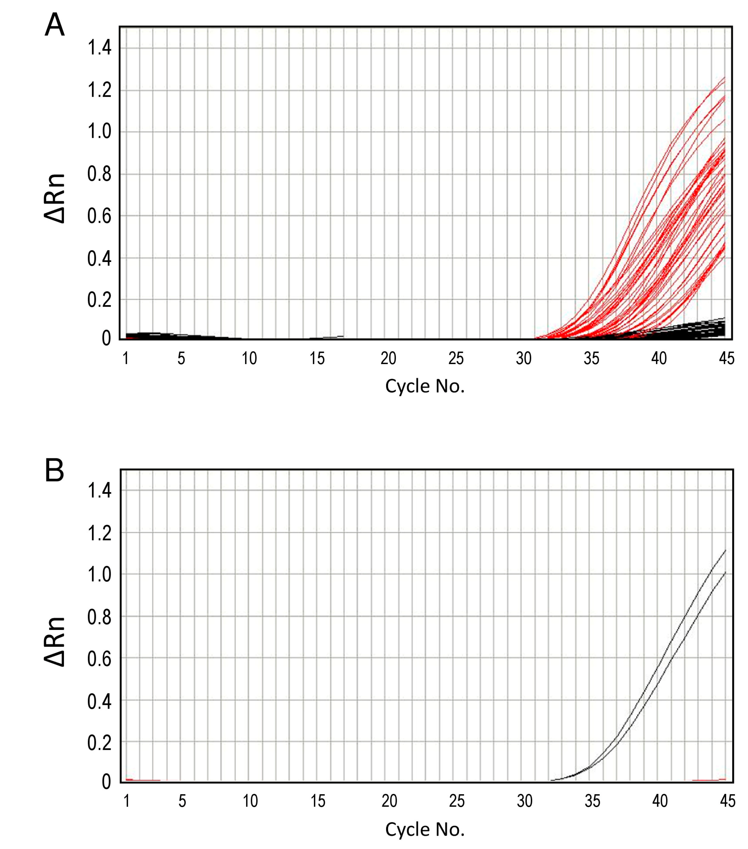 Microorganisms 11 00200 g005