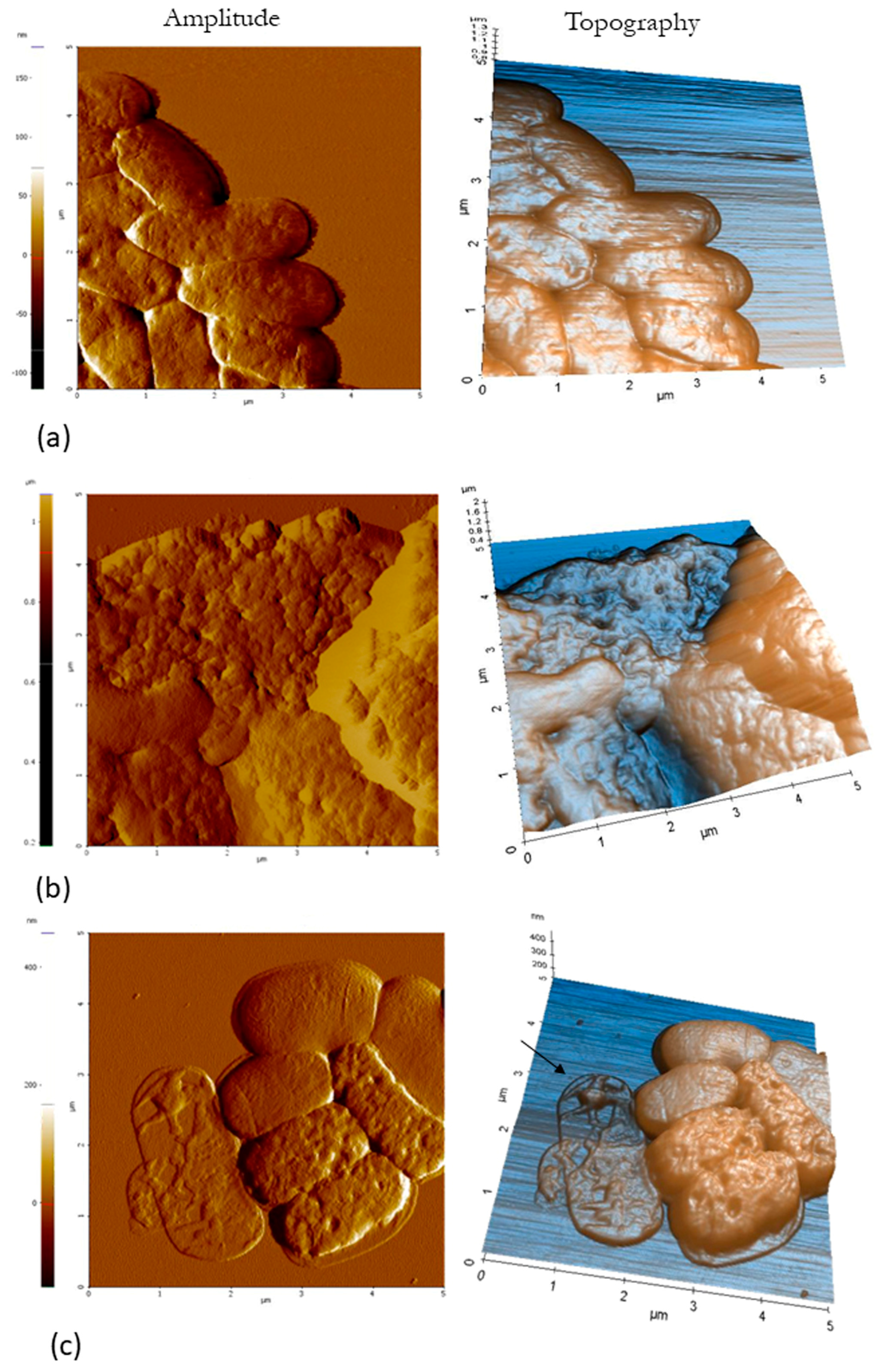 Microorganisms 11 02119 g005