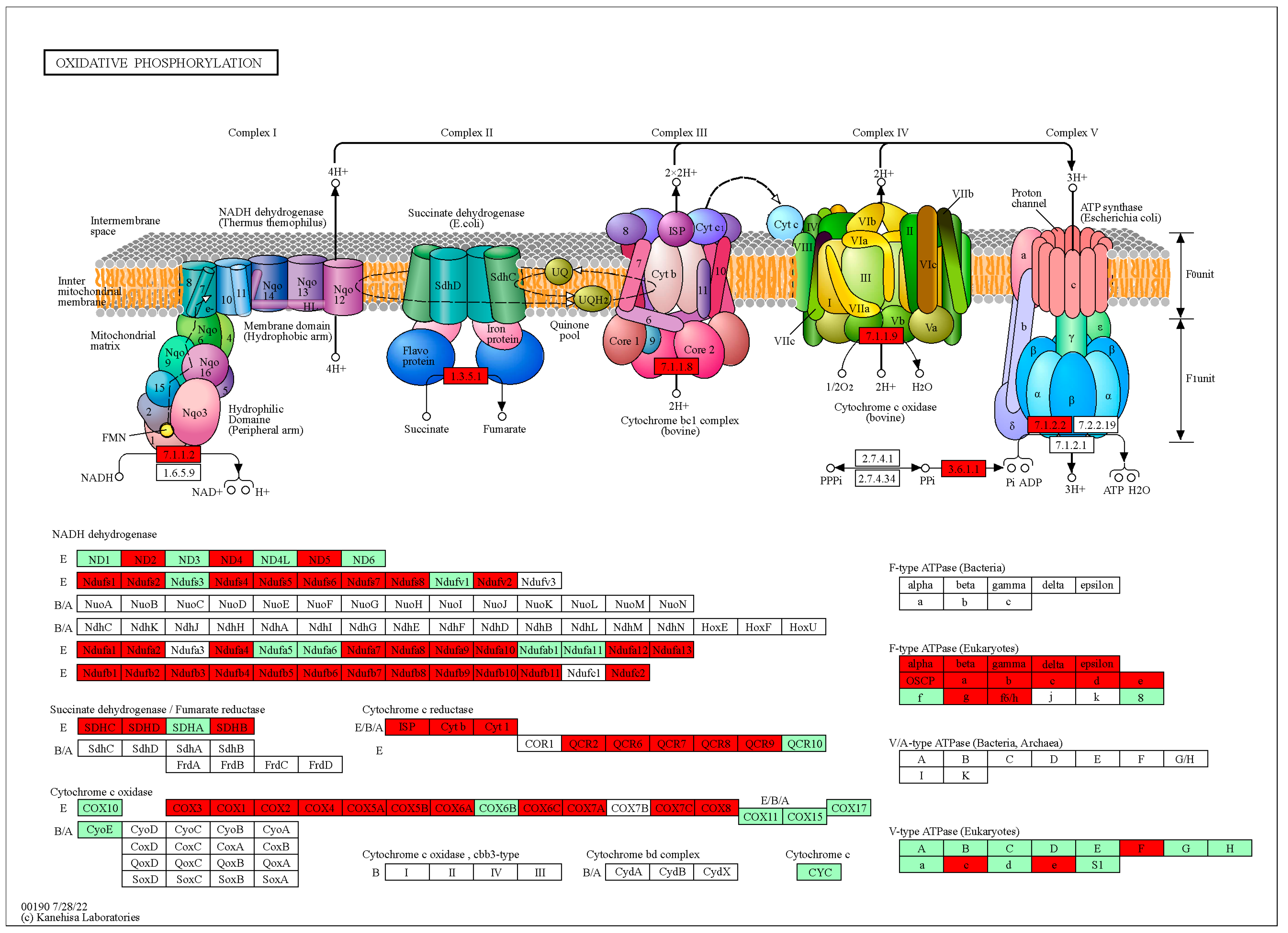 Microorganisms 11 02361 g006