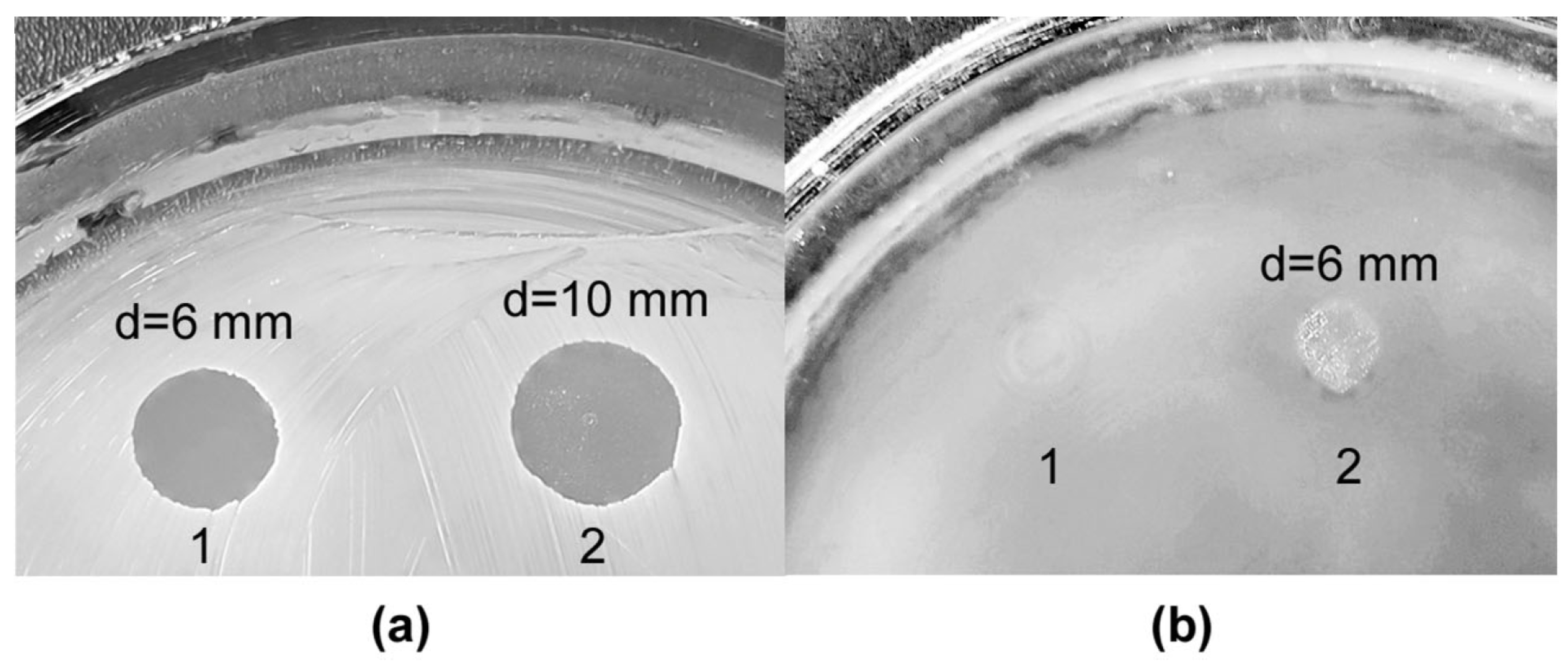 Microorganisms 11 02853 g005