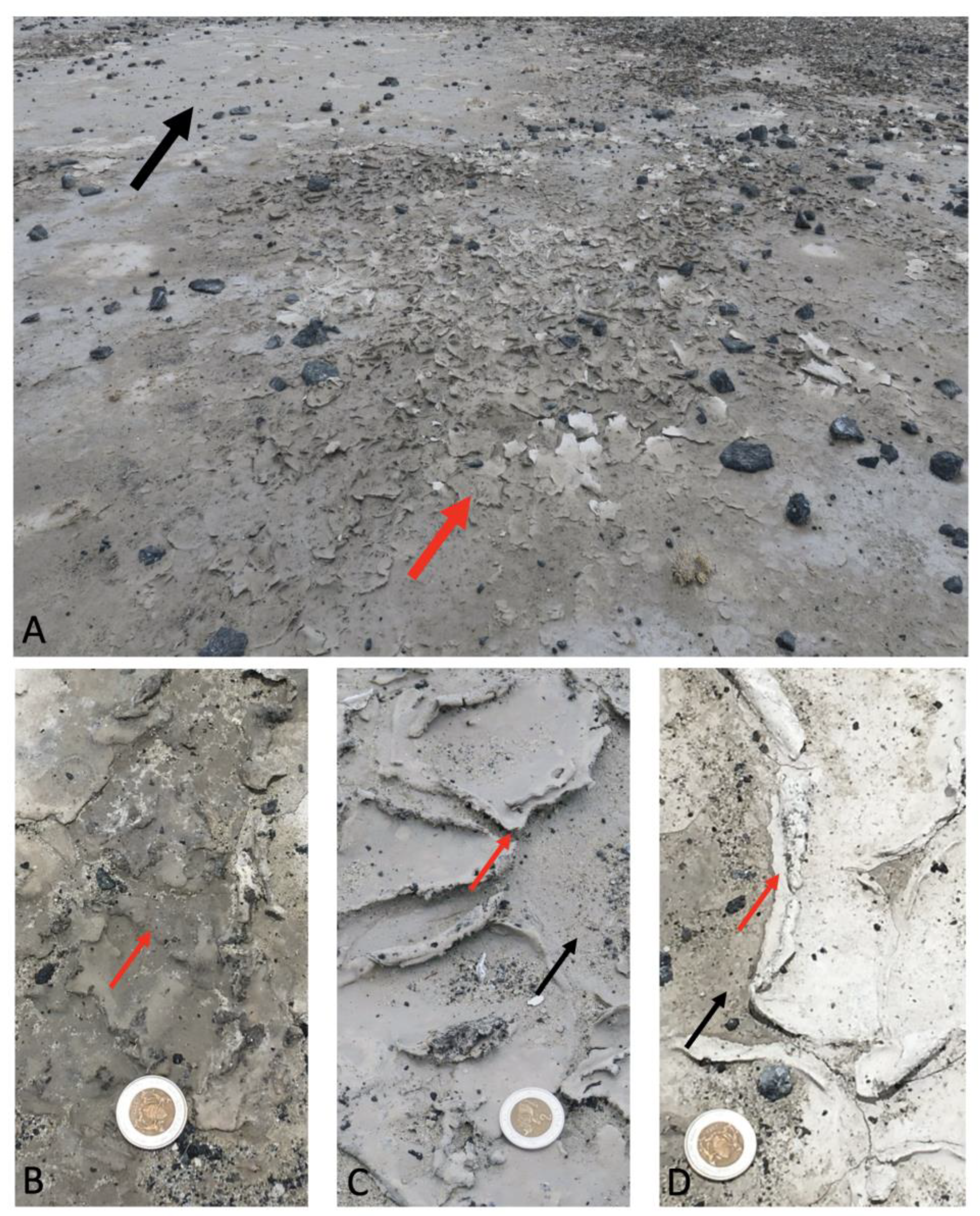 Microorganisms 12 00147 g002