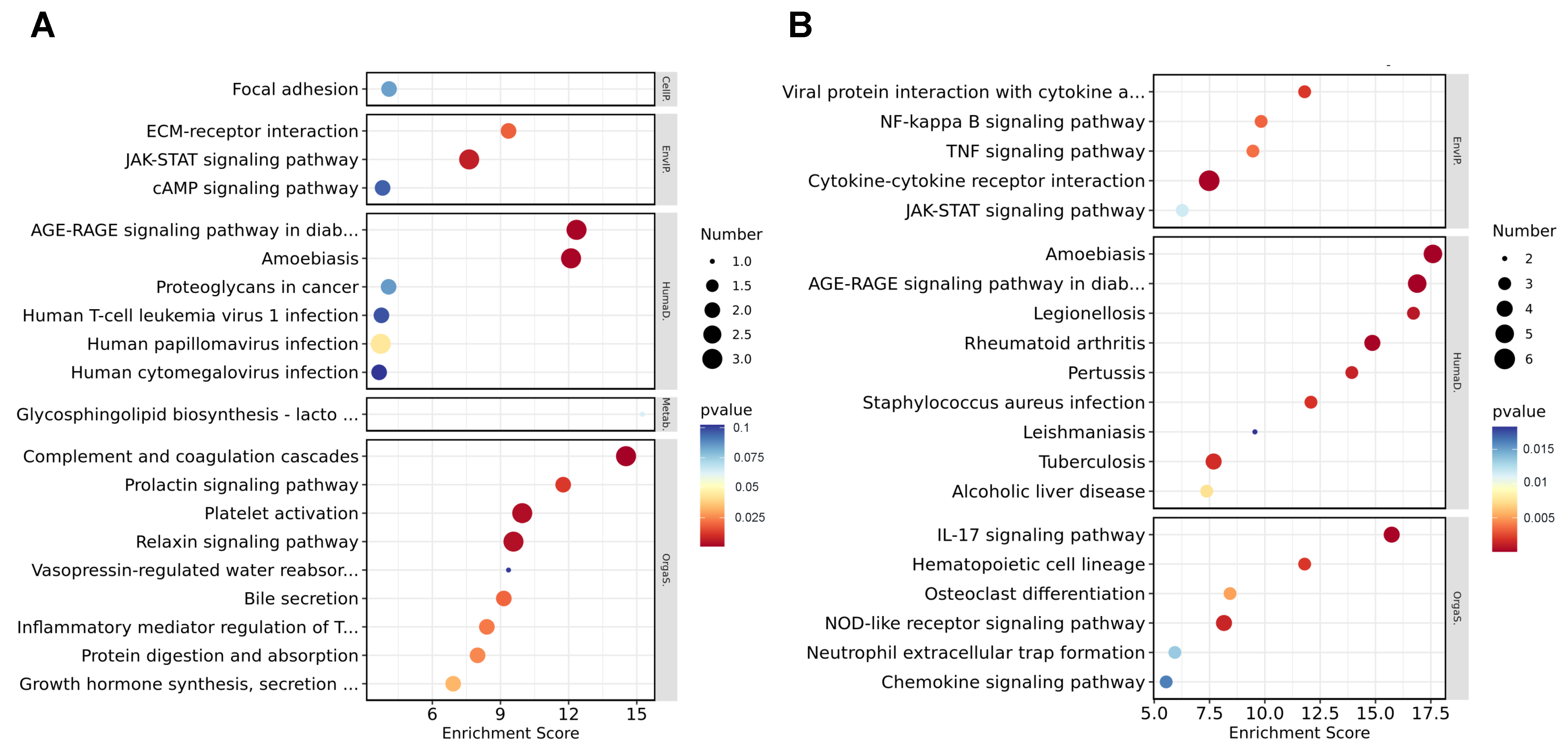 Microorganisms 12 00400 g005