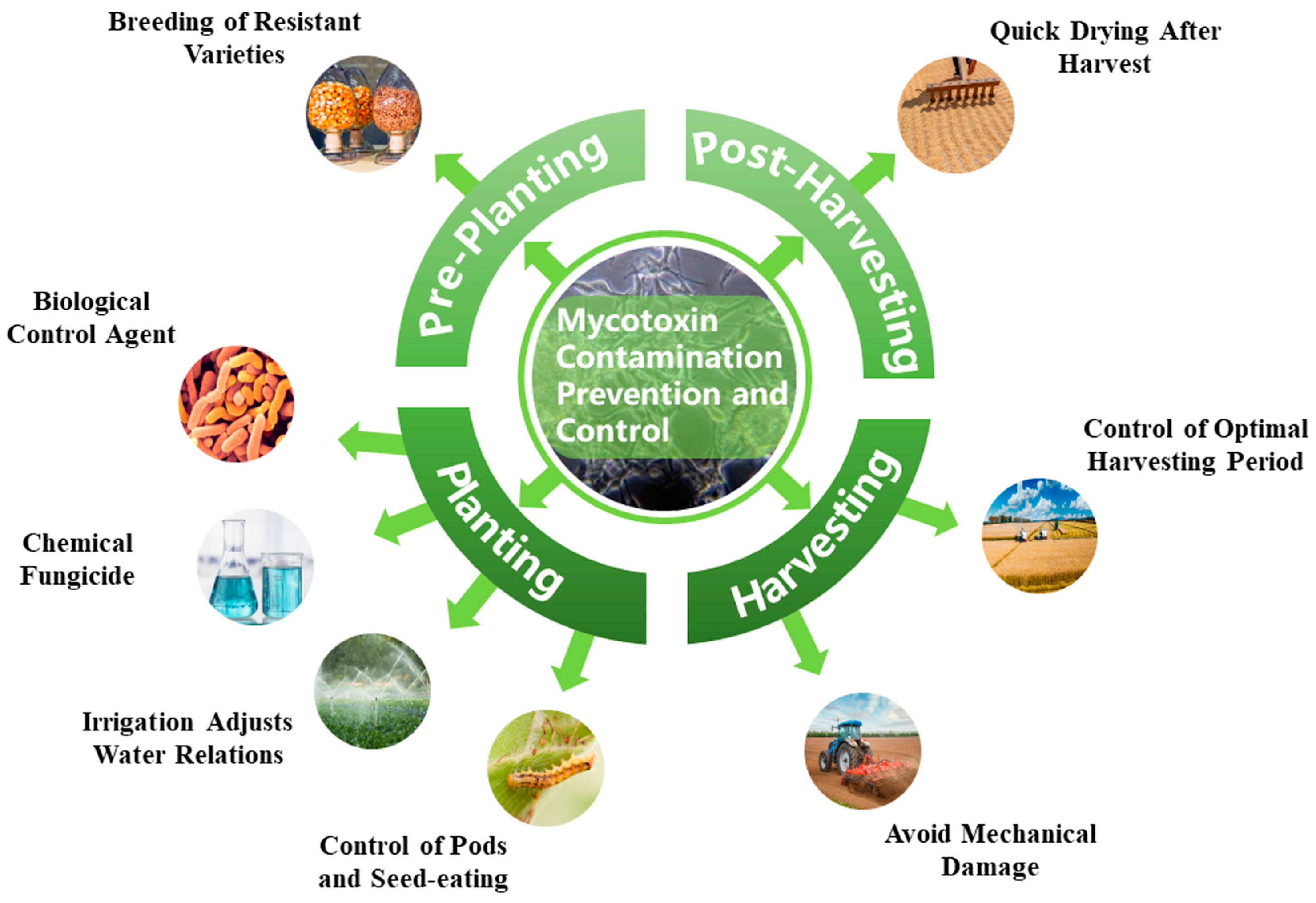 Microorganisms 12 00567 g003