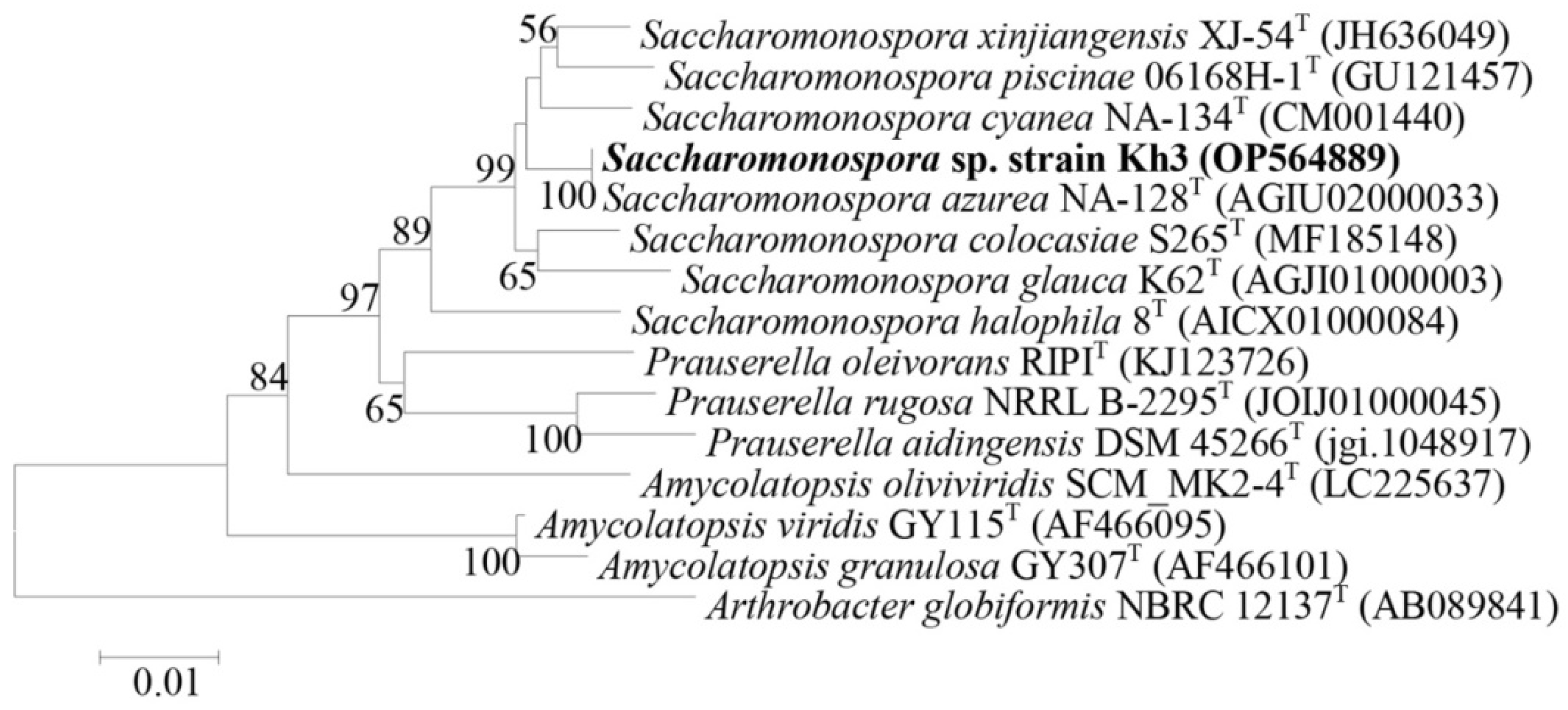 Microorganisms 12 00834 g003