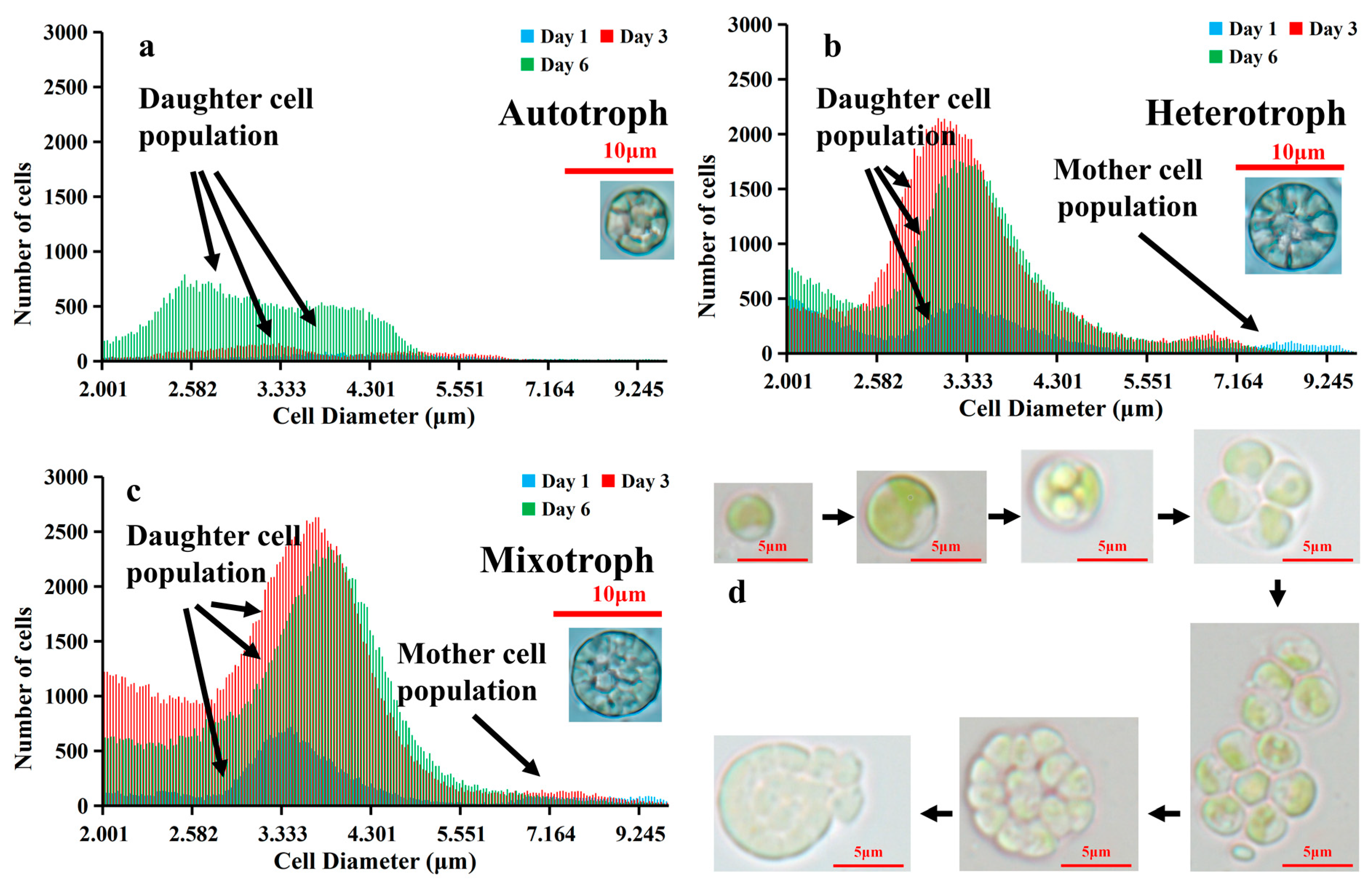 Microorganisms 12 00835 g004