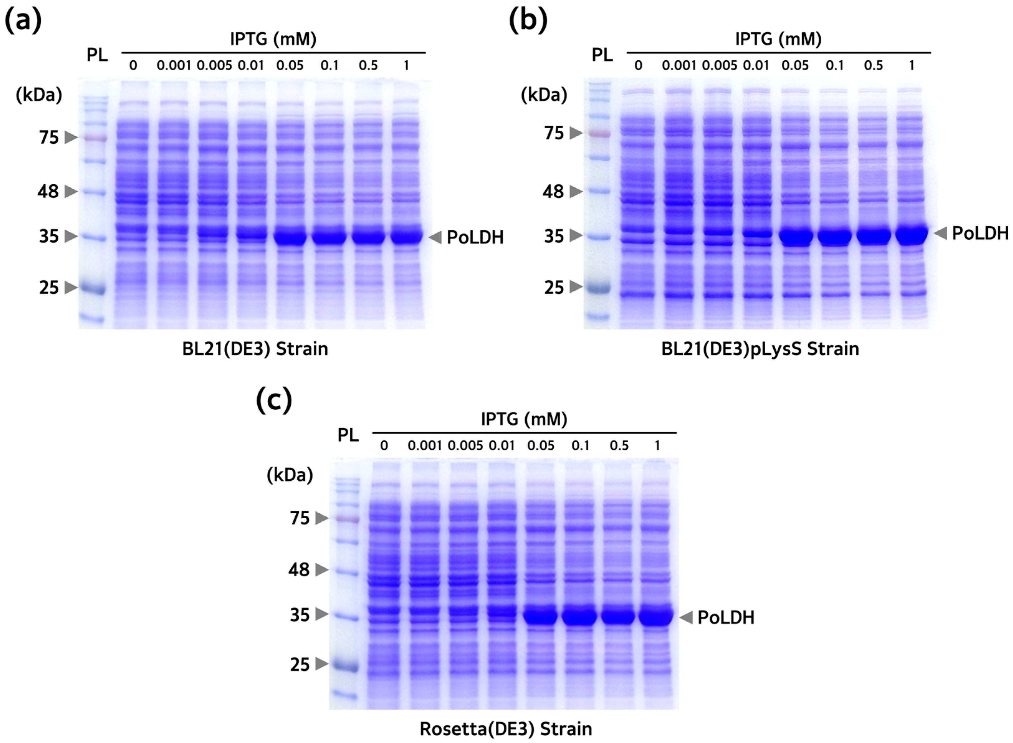 Microorganisms 12 00876 g002