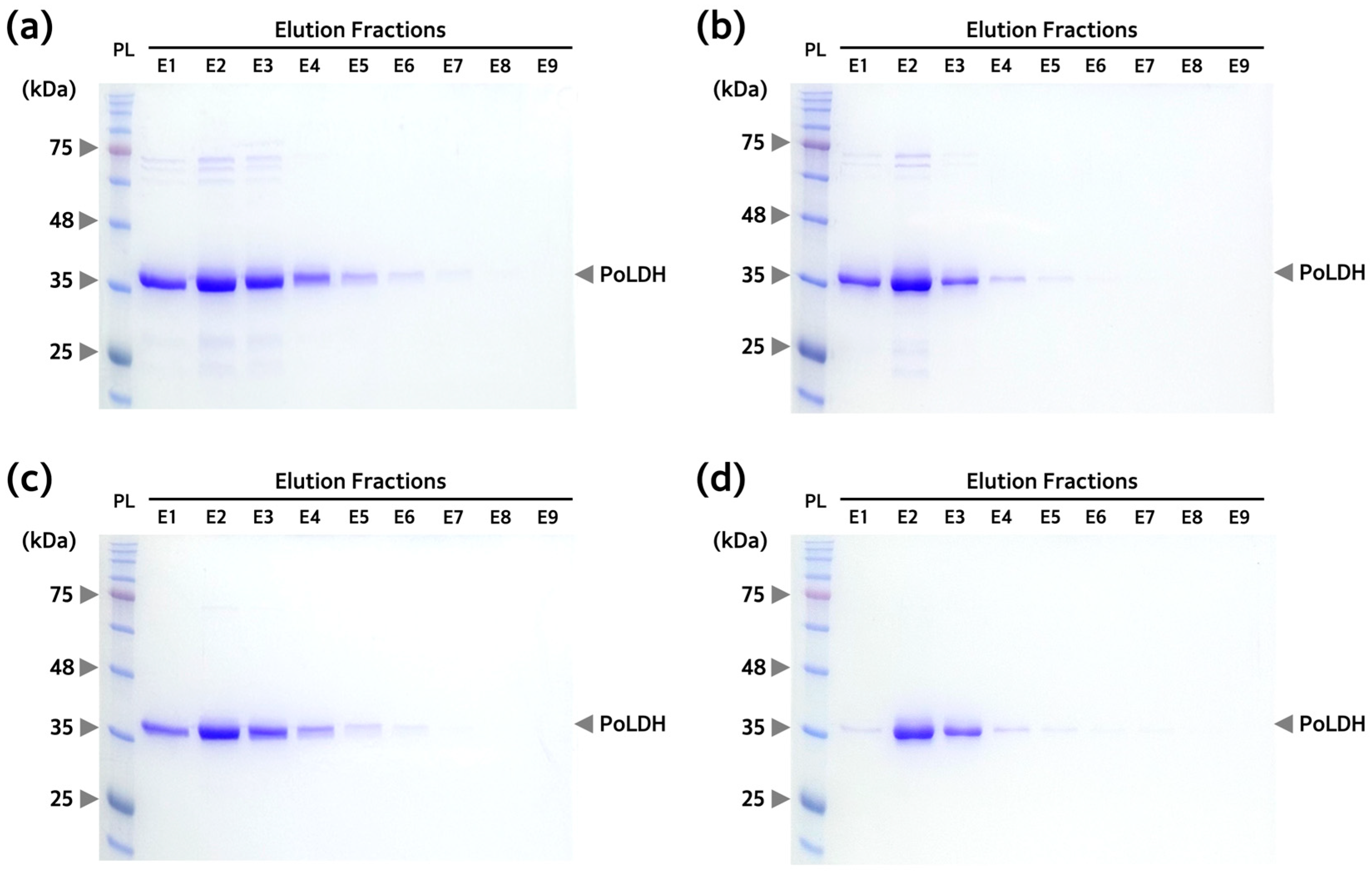 Microorganisms 12 00876 g004