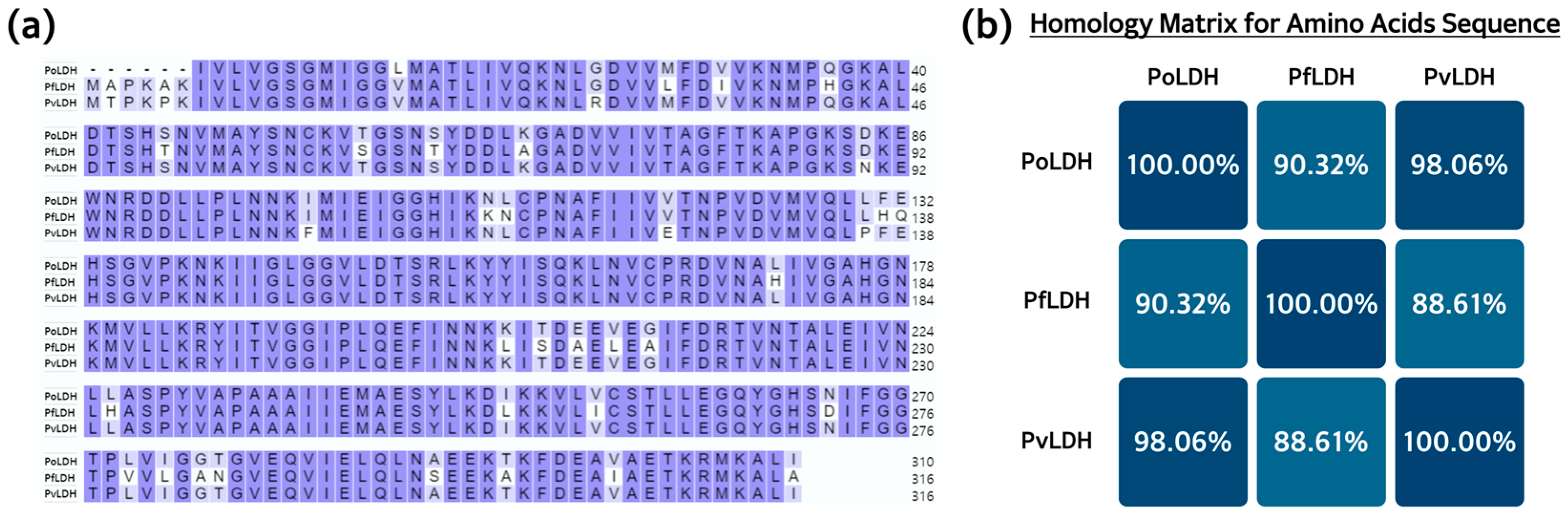 Microorganisms 12 00876 g008