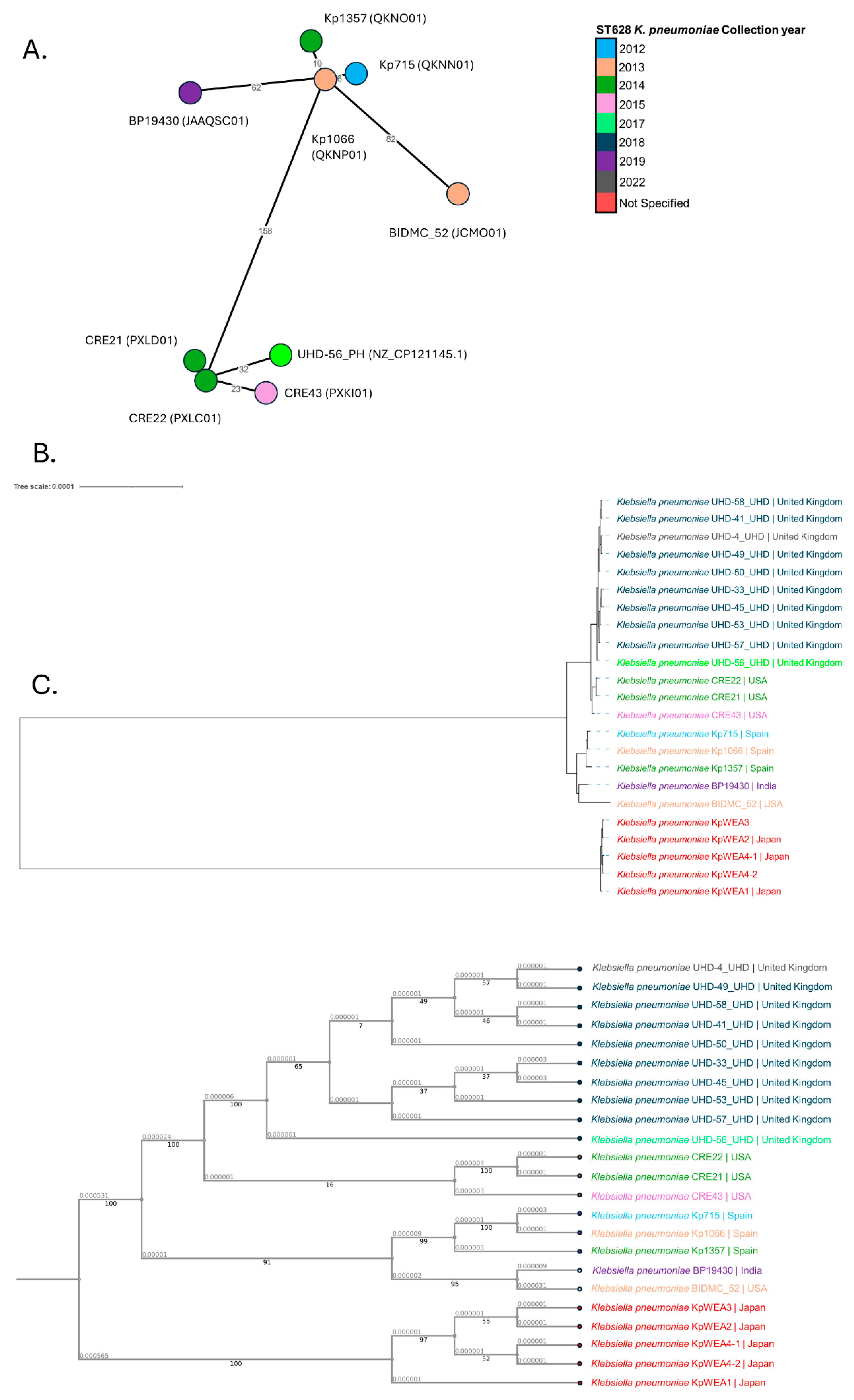 Microorganisms 12 00883 g003