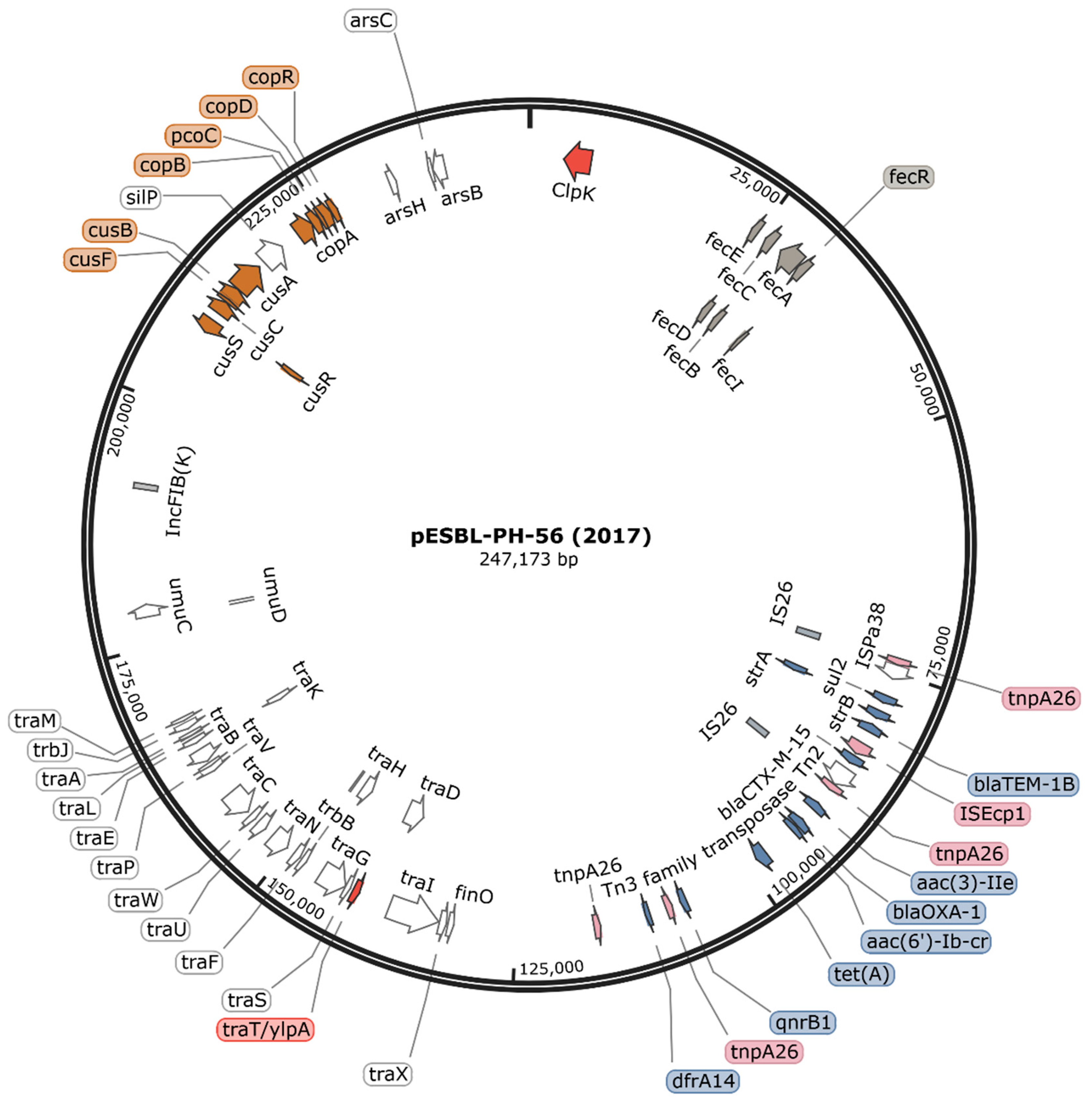 Microorganisms 12 00883 g004