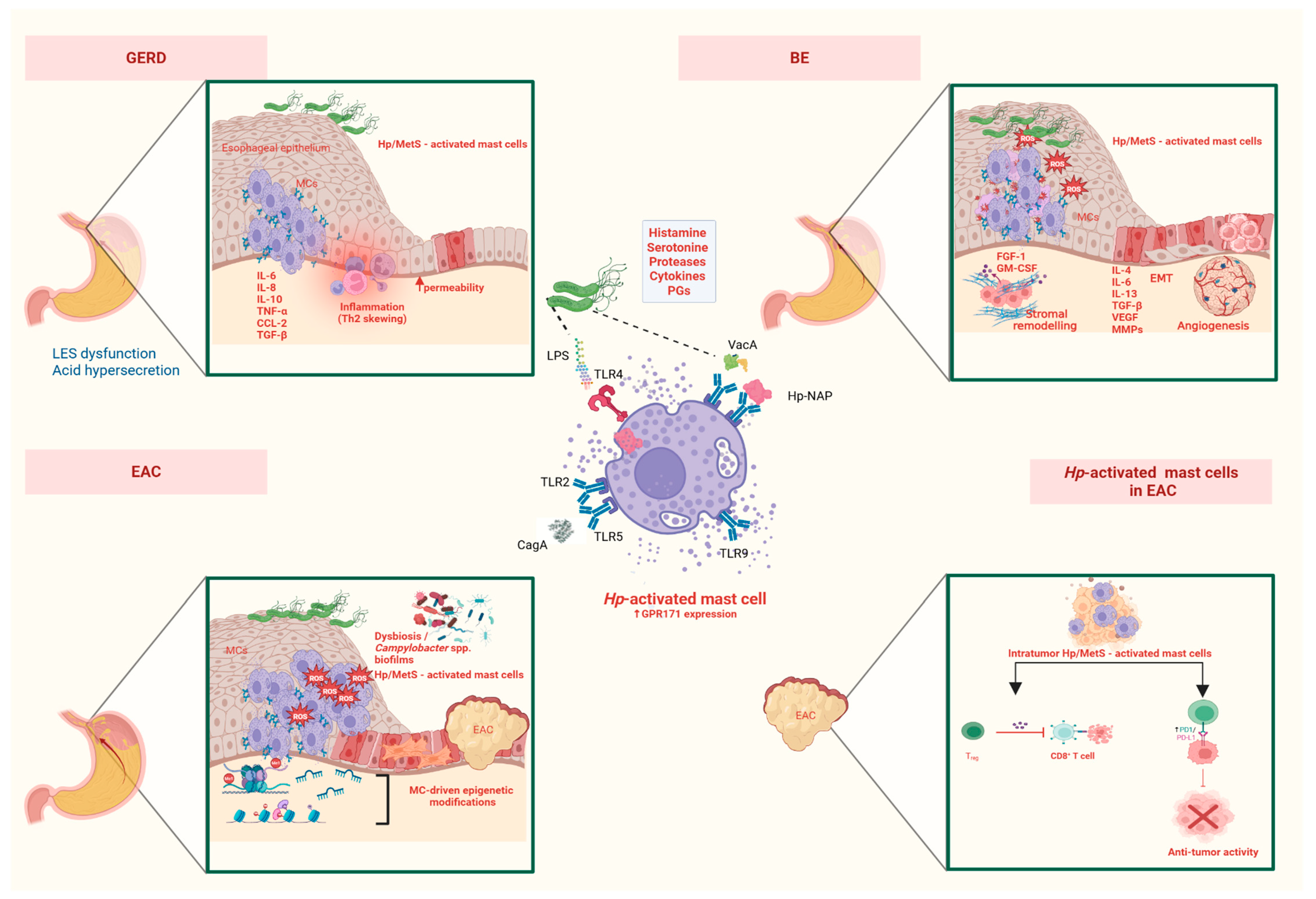 Microorganisms 13 01883 g001 Microorganisms 13 01883 g001