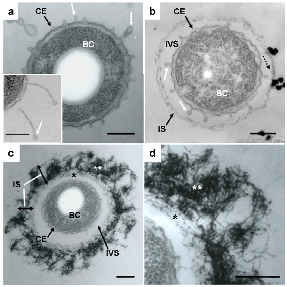 Minerals 01 00157f1 1024
