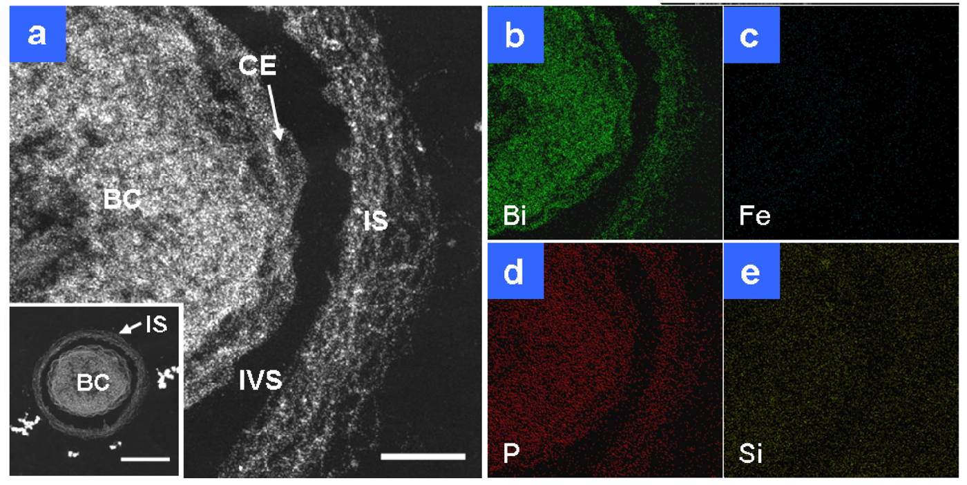 Minerals 01 00157f2 1024
