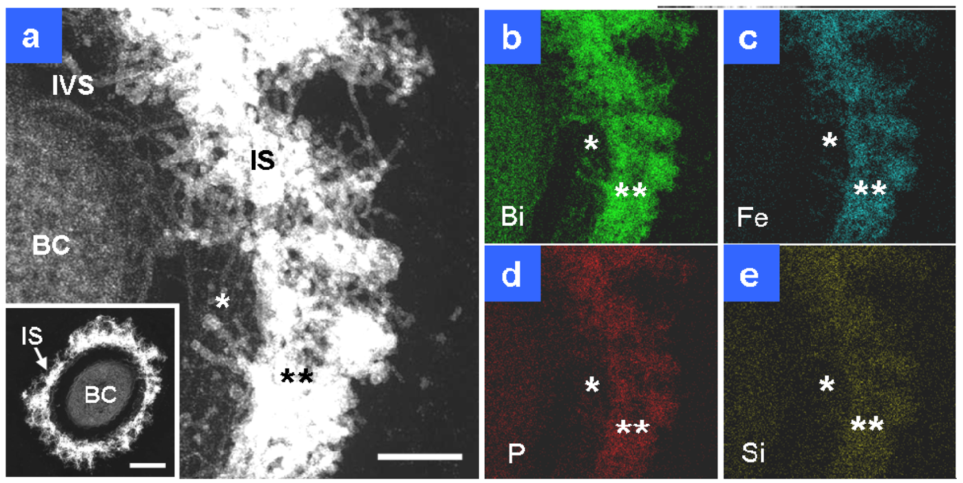 Minerals 01 00157f3 1024