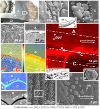 Minerals 02 00011 g003 200