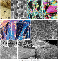 Minerals 02 00011 g004 200