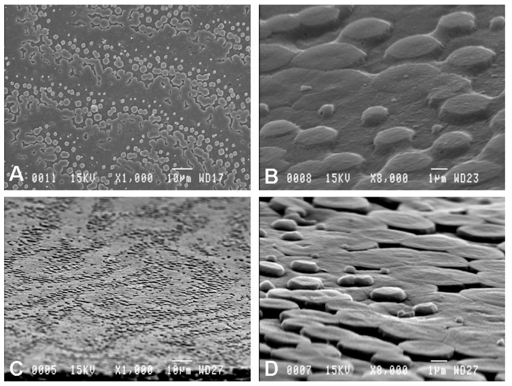 Minerals 02 00055 g001 1024