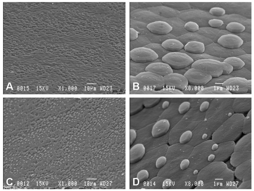 Minerals 02 00055 g002 1024