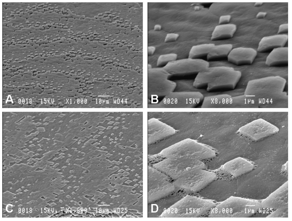 Minerals 02 00055 g003 1024