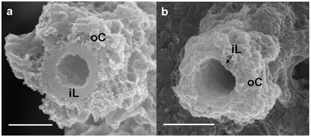 Minerals 02 00118 g002 1024
