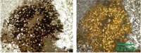 Minerals 02 00228 g003 200