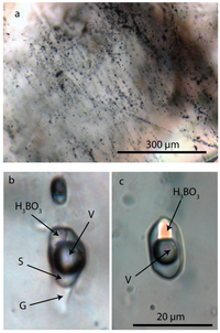 Minerals 02 00435 g002 200