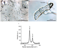Minerals 02 00435 g008 200