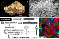 Minerals 03 00367 g008 200