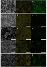 Minerals 03 00395 g003 200