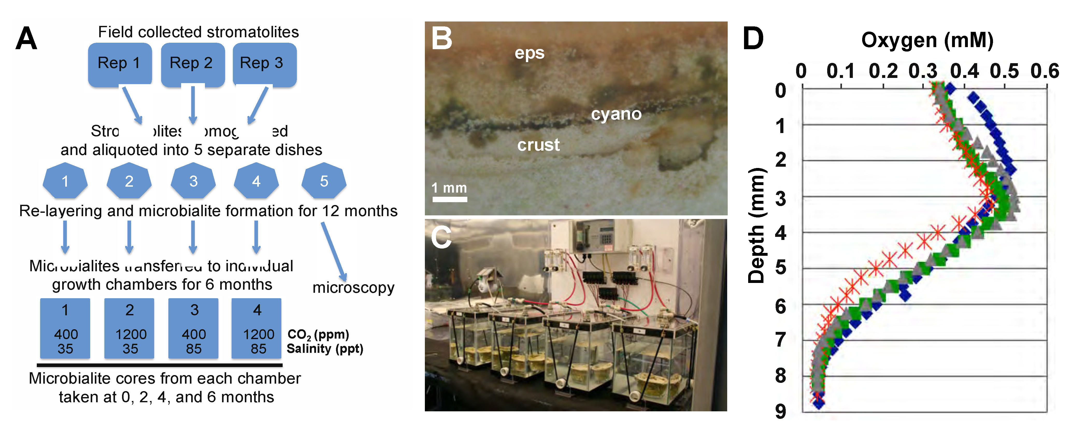 Minerals 04 00145 g001