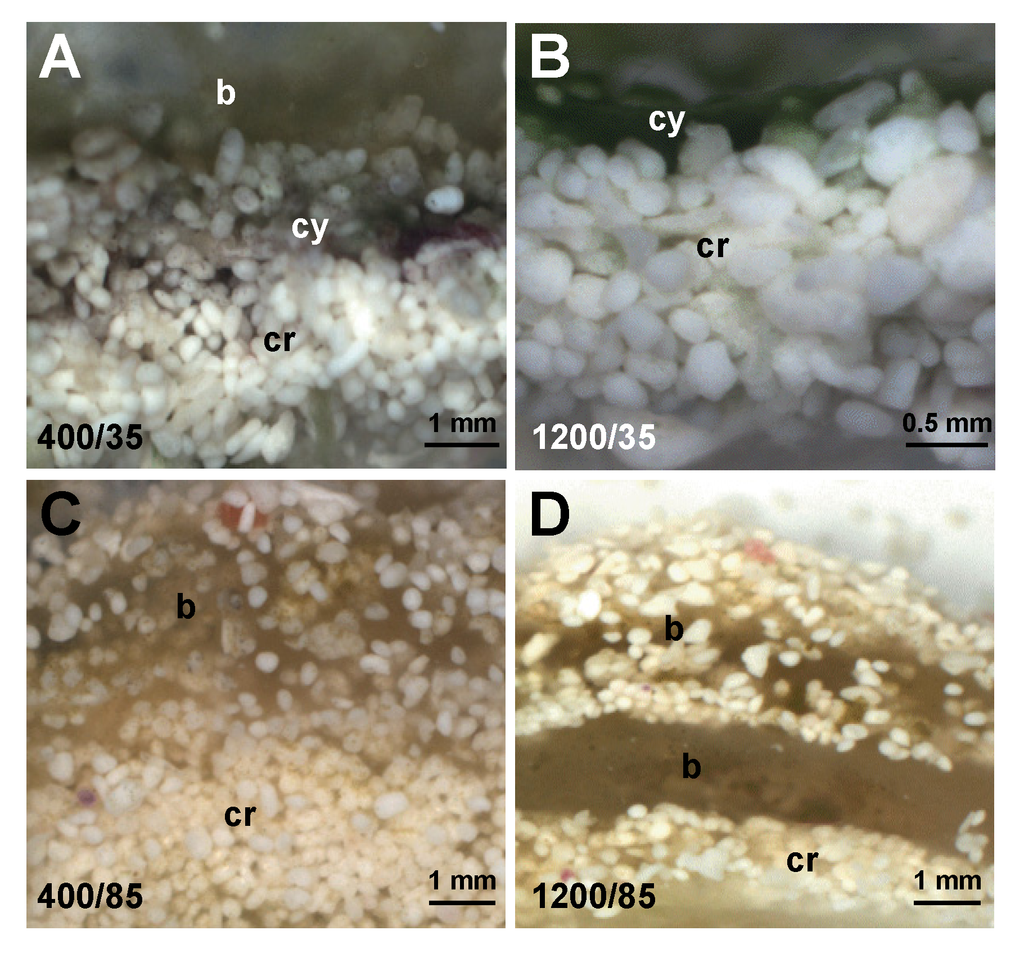 Minerals 04 00145 g007 1024
